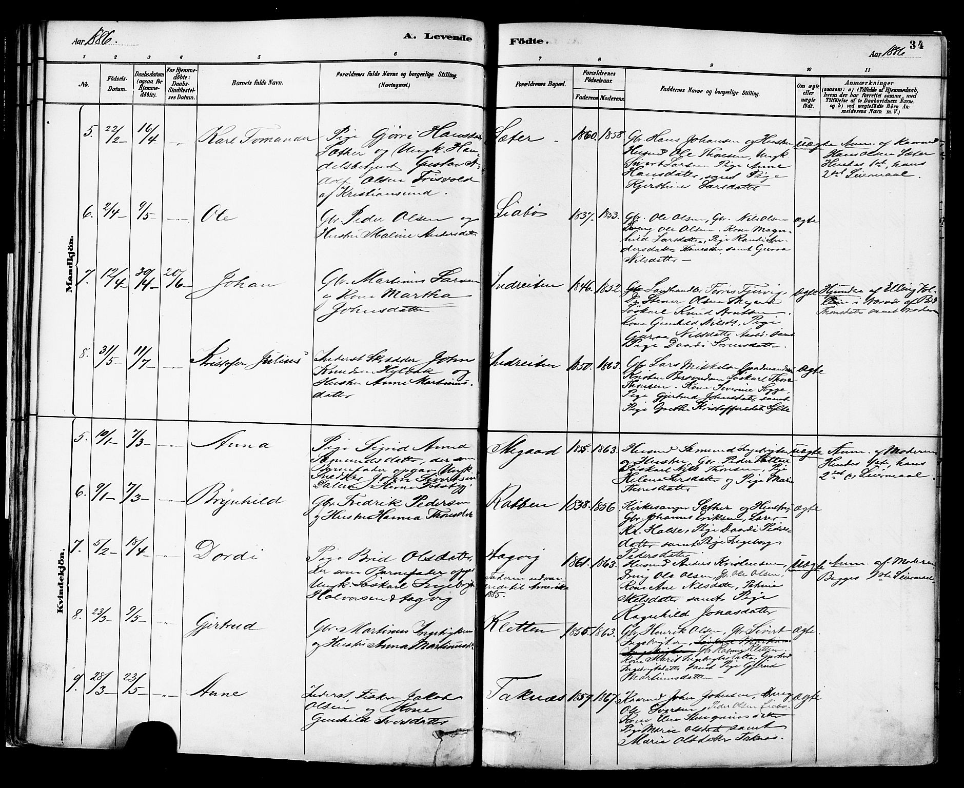 Ministerialprotokoller, klokkerbøker og fødselsregistre - Møre og Romsdal, AV/SAT-A-1454/576/L0885: Ministerialbok nr. 576A03, 1880-1898, s. 34