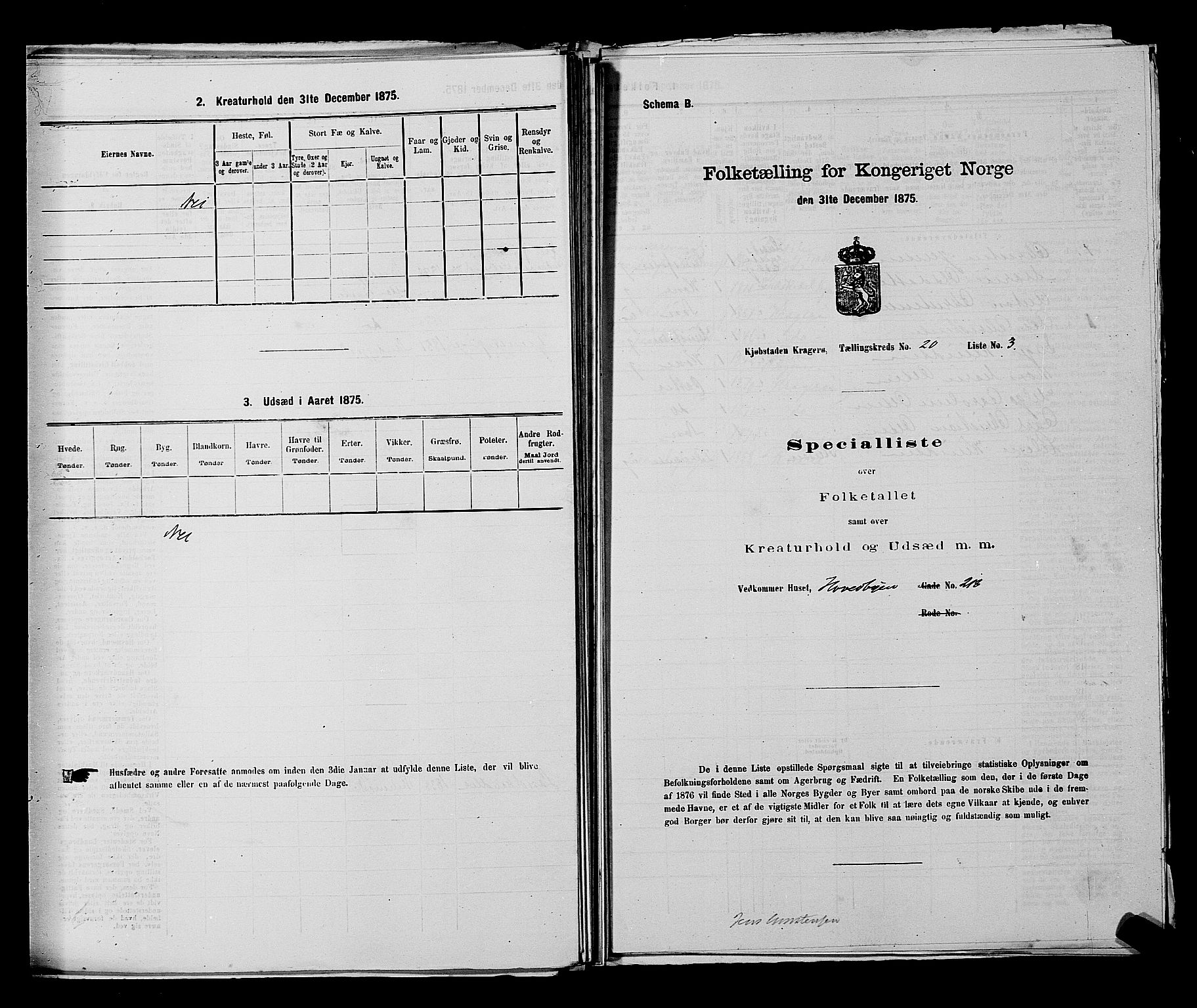 SAKO, Folketelling 1875 for 0801P Kragerø prestegjeld, 1875, s. 424