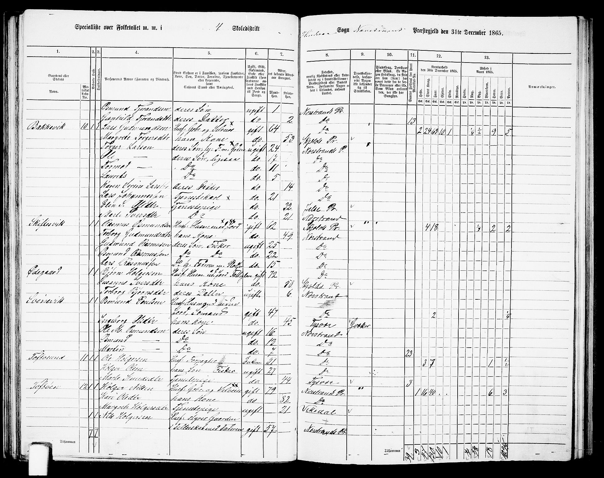 RA, Folketelling 1865 for 1139P Nedstrand prestegjeld, 1865, s. 58