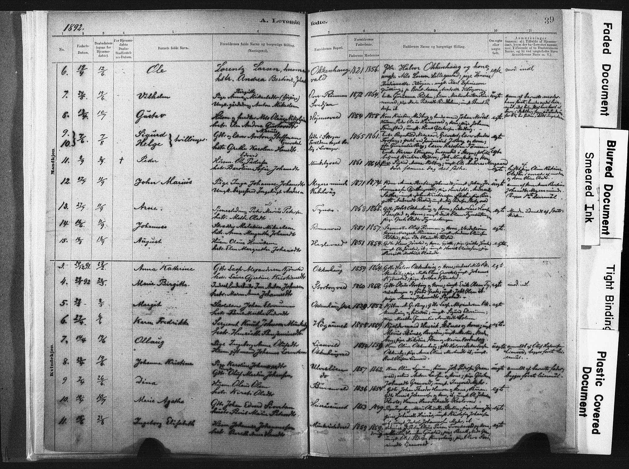 Ministerialprotokoller, klokkerbøker og fødselsregistre - Nord-Trøndelag, SAT/A-1458/721/L0207: Ministerialbok nr. 721A02, 1880-1911, s. 39
