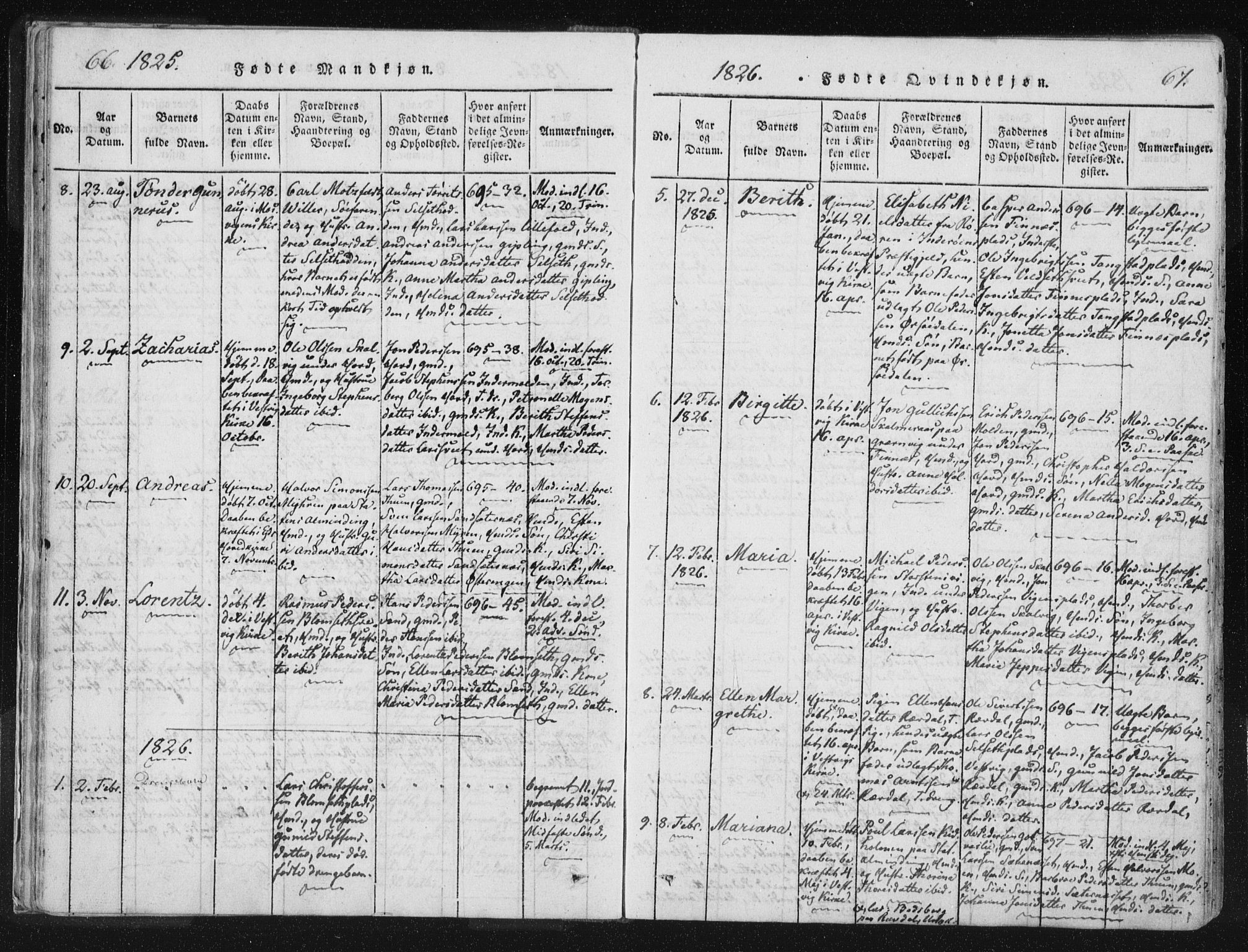 Ministerialprotokoller, klokkerbøker og fødselsregistre - Nord-Trøndelag, SAT/A-1458/744/L0417: Ministerialbok nr. 744A01, 1817-1842, s. 66-67