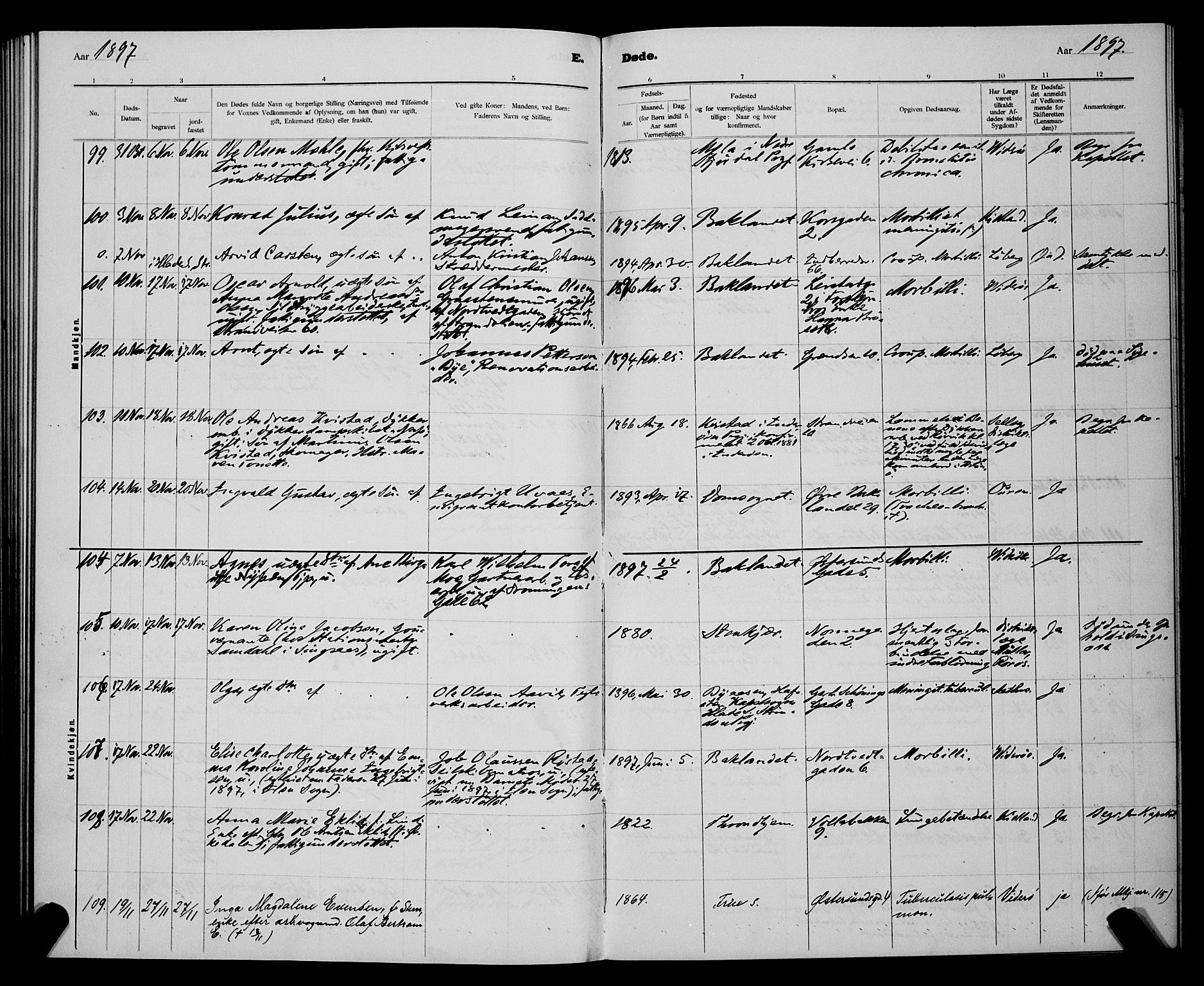 Ministerialprotokoller, klokkerbøker og fødselsregistre - Sør-Trøndelag, AV/SAT-A-1456/604/L0224: Klokkerbok nr. 604C07, 1894-1898