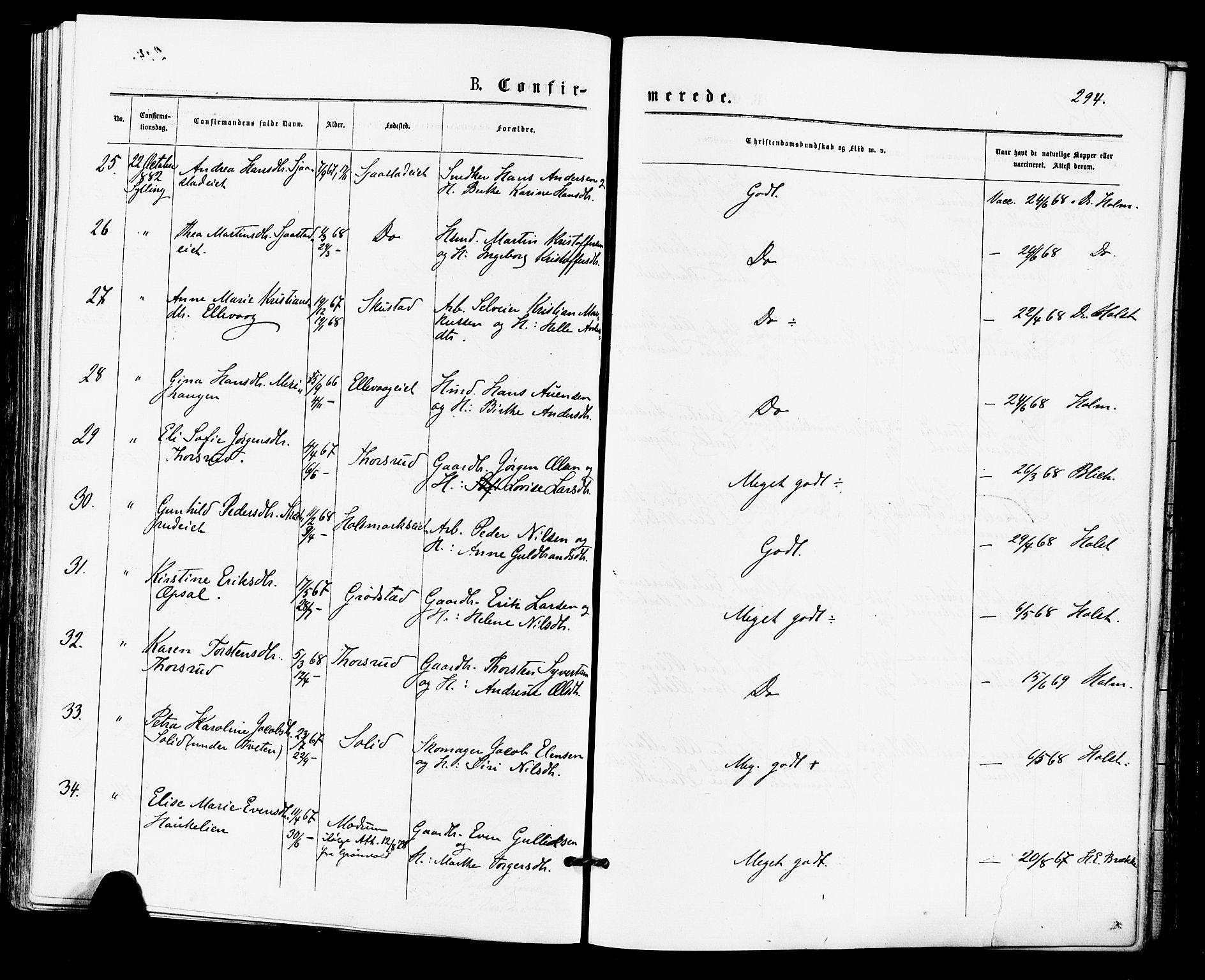 Lier kirkebøker, SAKO/A-230/F/Fa/L0014: Ministerialbok nr. I 14, 1875-1882, s. 294