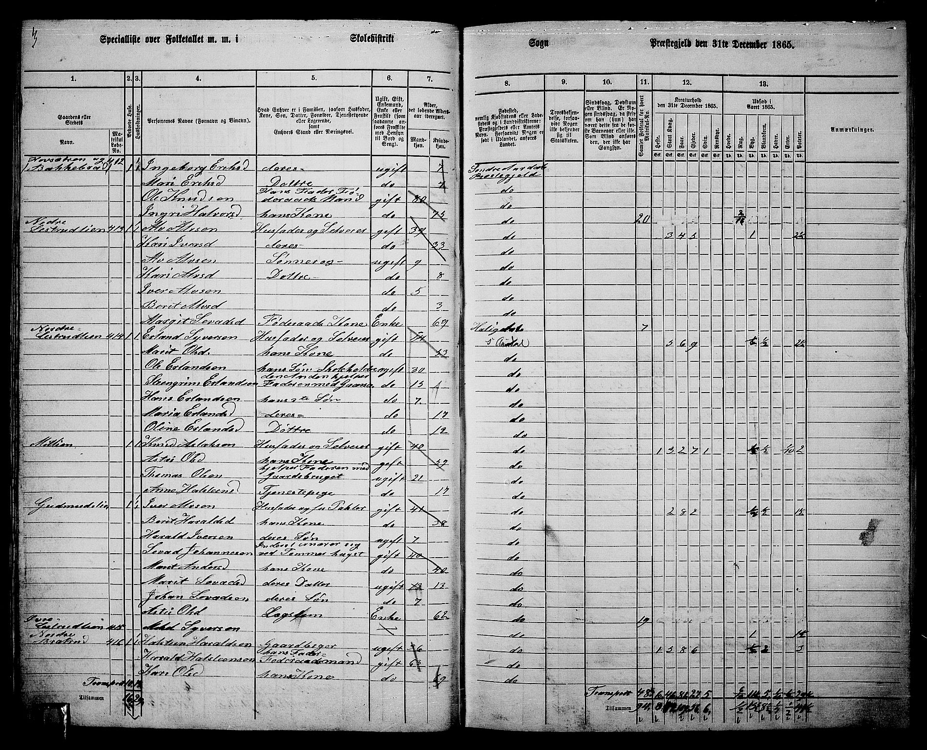 RA, Folketelling 1865 for 0540P Sør-Aurdal prestegjeld, 1865, s. 51