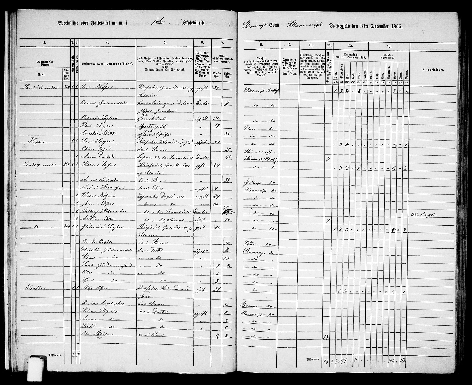 RA, Folketelling 1865 for 1212P Skånevik prestegjeld, 1865, s. 11