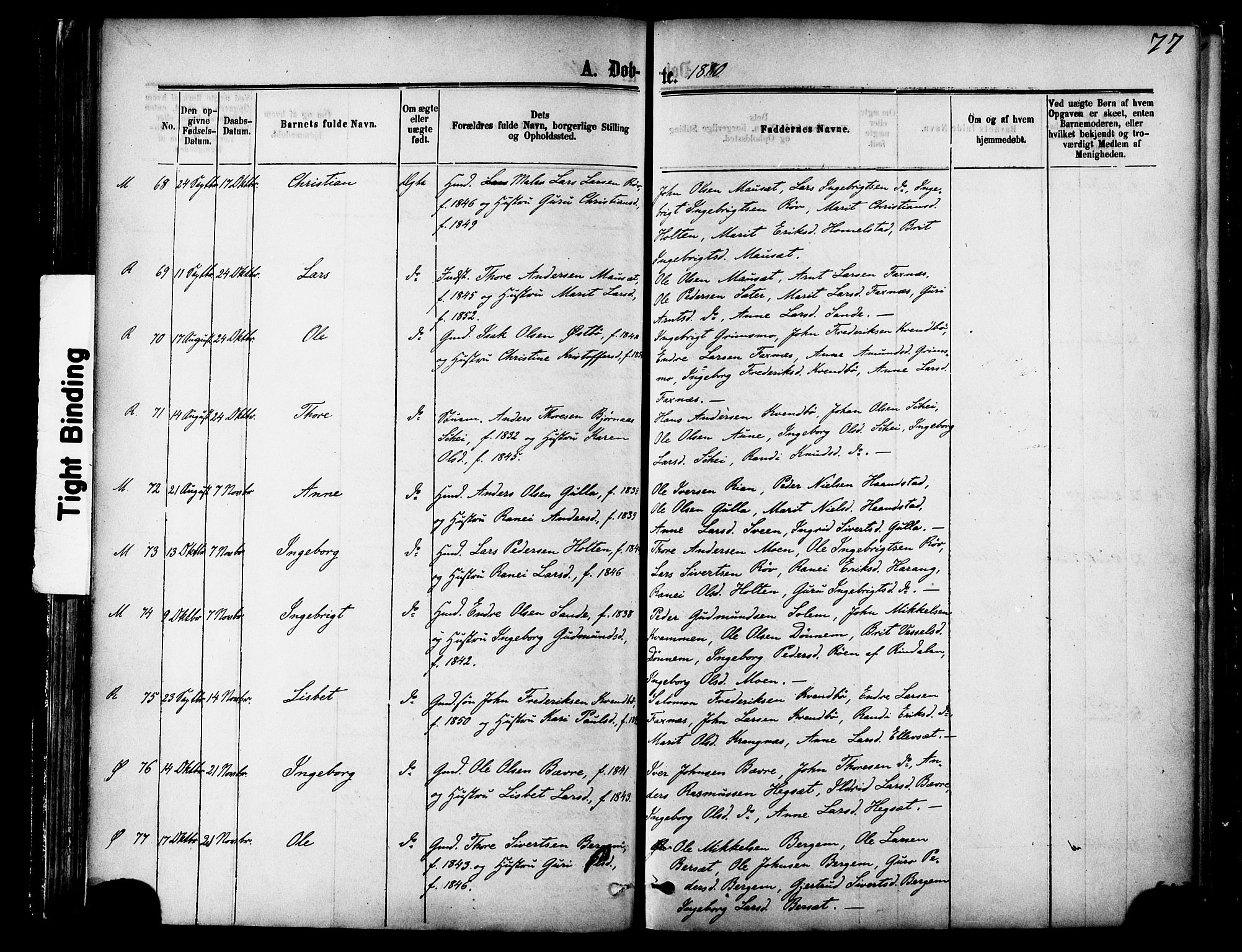 Ministerialprotokoller, klokkerbøker og fødselsregistre - Møre og Romsdal, AV/SAT-A-1454/595/L1046: Ministerialbok nr. 595A08, 1874-1884, s. 77