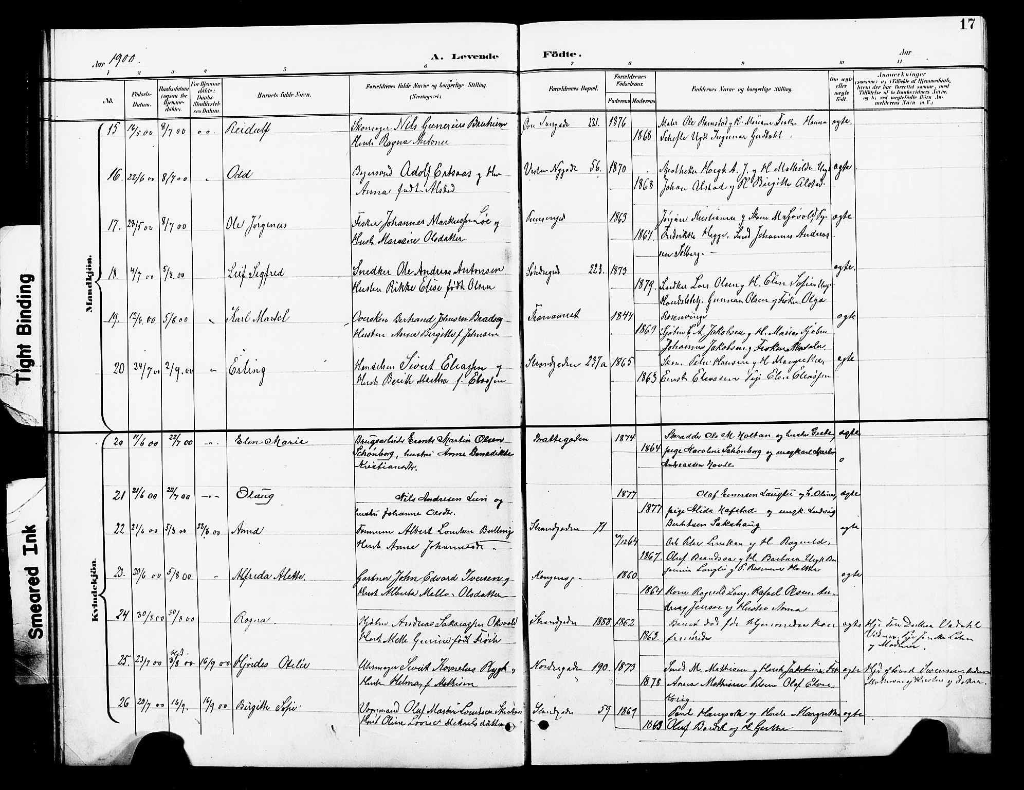 Ministerialprotokoller, klokkerbøker og fødselsregistre - Nord-Trøndelag, AV/SAT-A-1458/739/L0375: Klokkerbok nr. 739C03, 1898-1908, s. 17