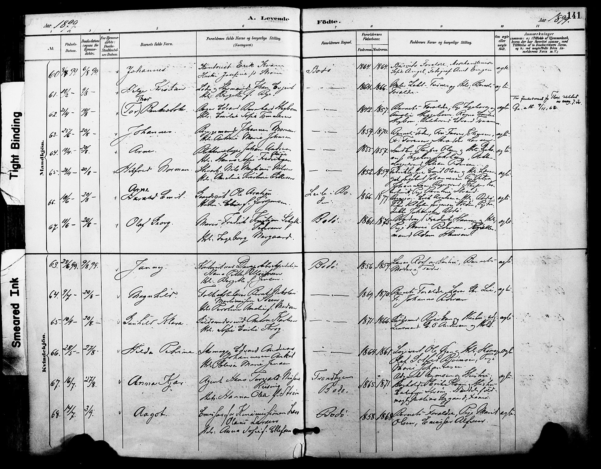 Ministerialprotokoller, klokkerbøker og fødselsregistre - Nordland, AV/SAT-A-1459/801/L0010: Ministerialbok nr. 801A10, 1888-1899, s. 141