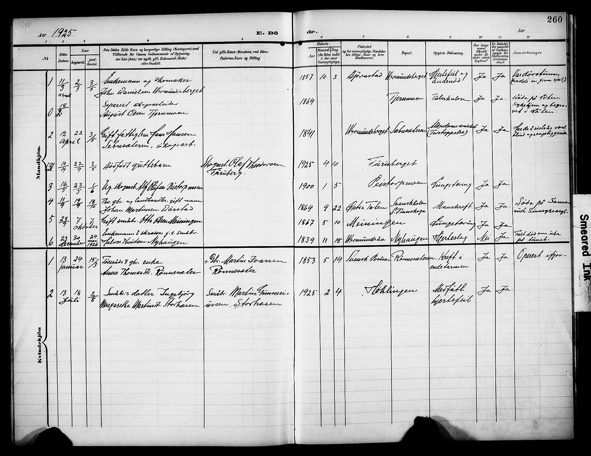 Åsnes prestekontor, AV/SAH-PREST-042/H/Ha/Hab/L0006: Klokkerbok nr. 6, 1903-1929, s. 260
