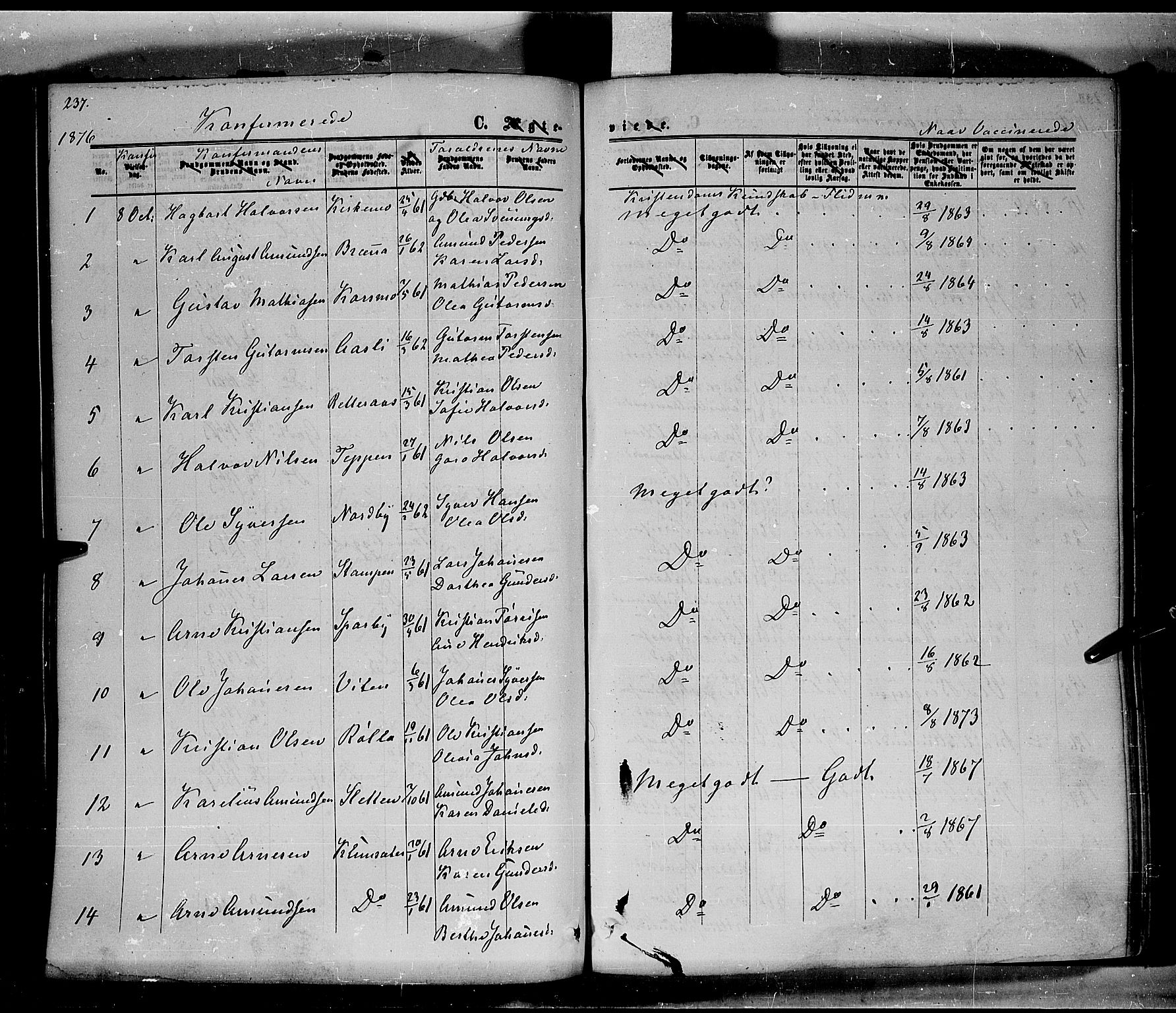 Hof prestekontor, AV/SAH-PREST-038/H/Ha/Haa/L0009: Ministerialbok nr. 9, 1862-1877, s. 237