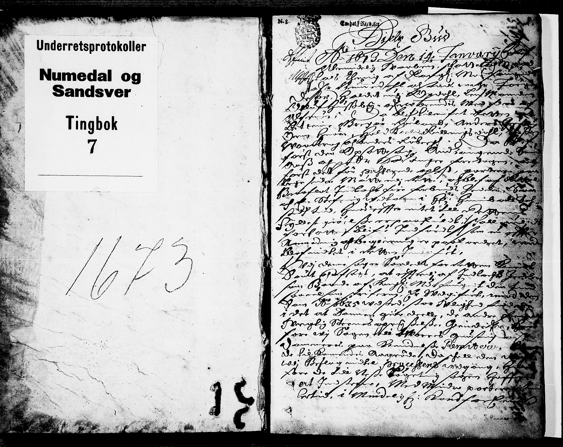 Numedal og Sandsvær sorenskriveri, AV/SAKO-A-128/F/Fa/Faa/L0007: Tingbok, 1673, s. 0b-1a