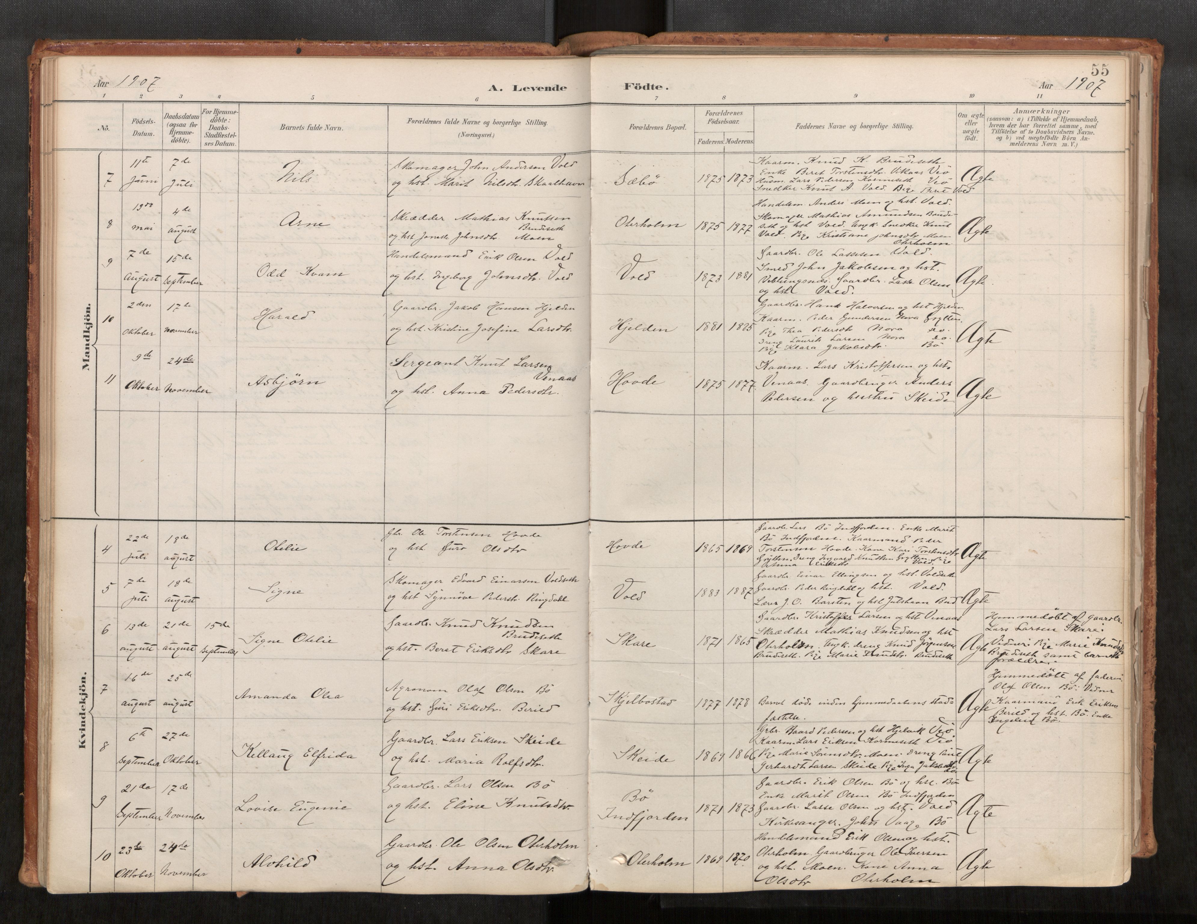 Ministerialprotokoller, klokkerbøker og fødselsregistre - Møre og Romsdal, AV/SAT-A-1454/543/L0568: Ministerialbok nr. 543A03, 1885-1915, s. 55