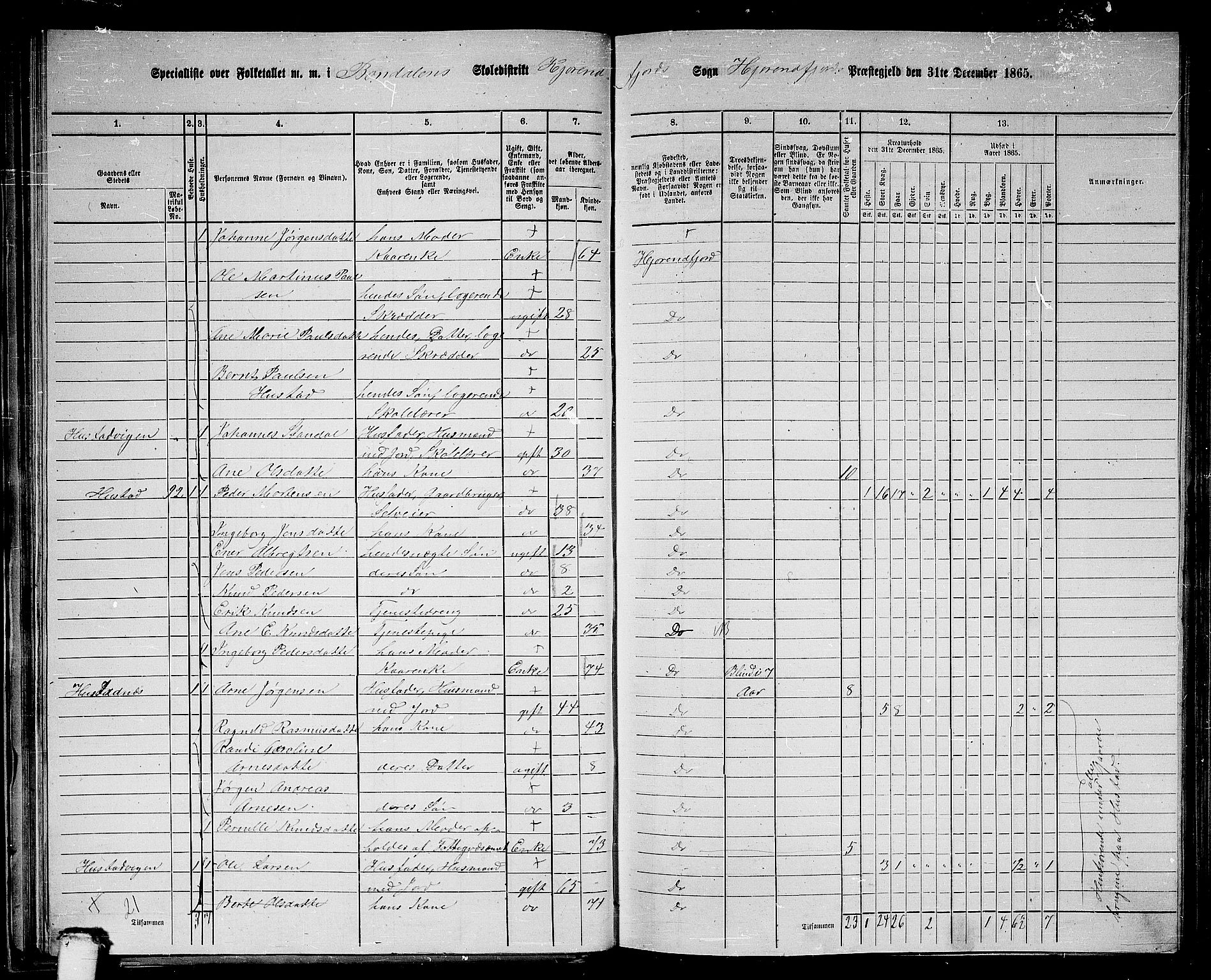 RA, Folketelling 1865 for 1522P Hjørundfjord prestegjeld, 1865, s. 41