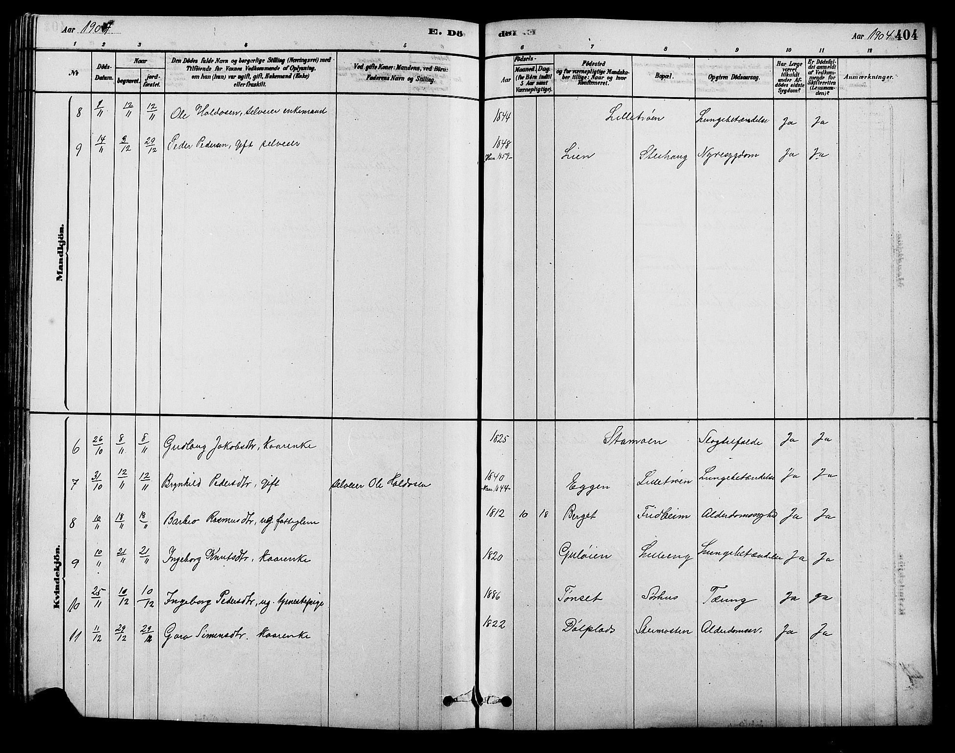 Alvdal prestekontor, SAH/PREST-060/H/Ha/Hab/L0003: Klokkerbok nr. 3, 1878-1907, s. 404