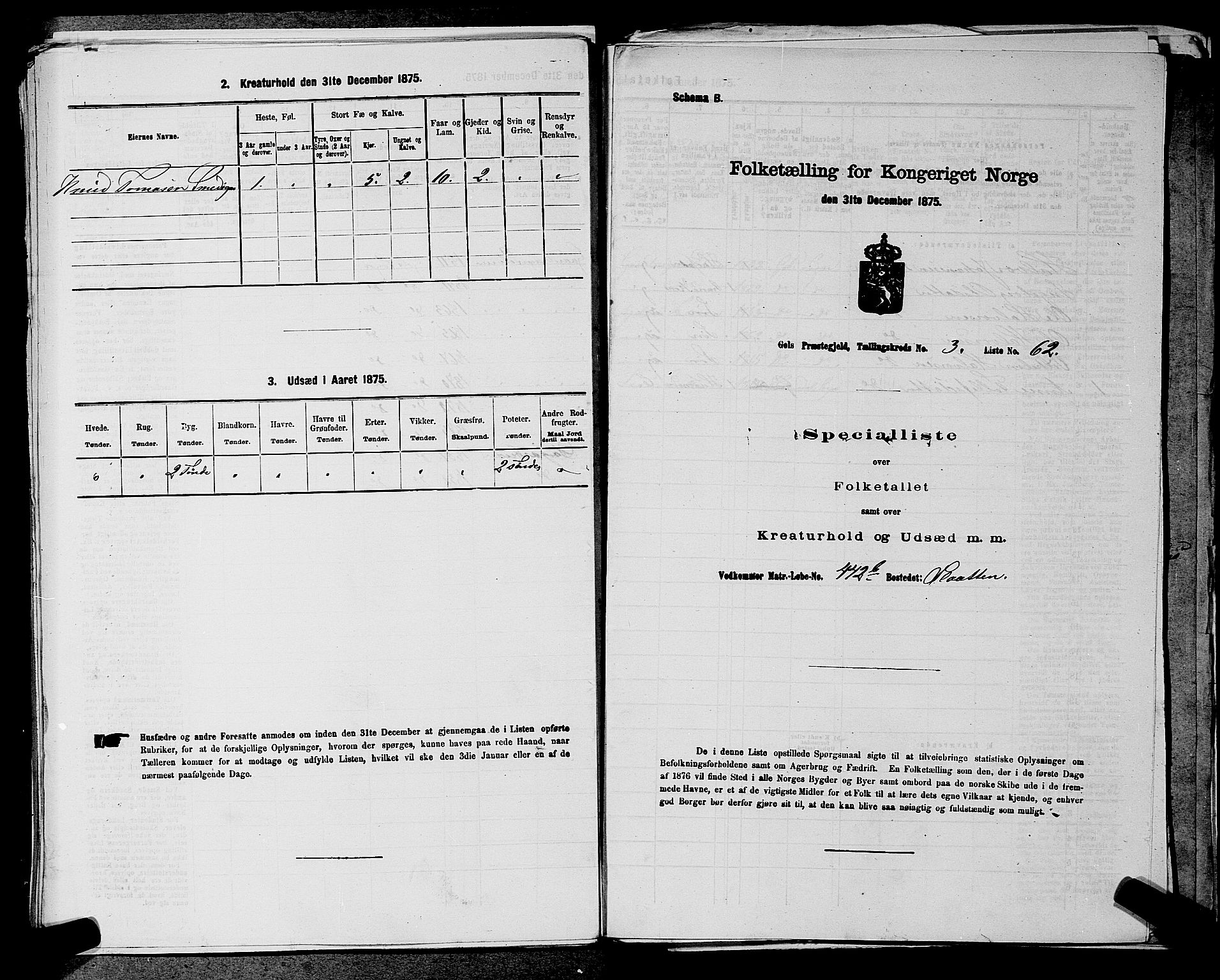 SAKO, Folketelling 1875 for 0617P Gol prestegjeld, 1875, s. 576