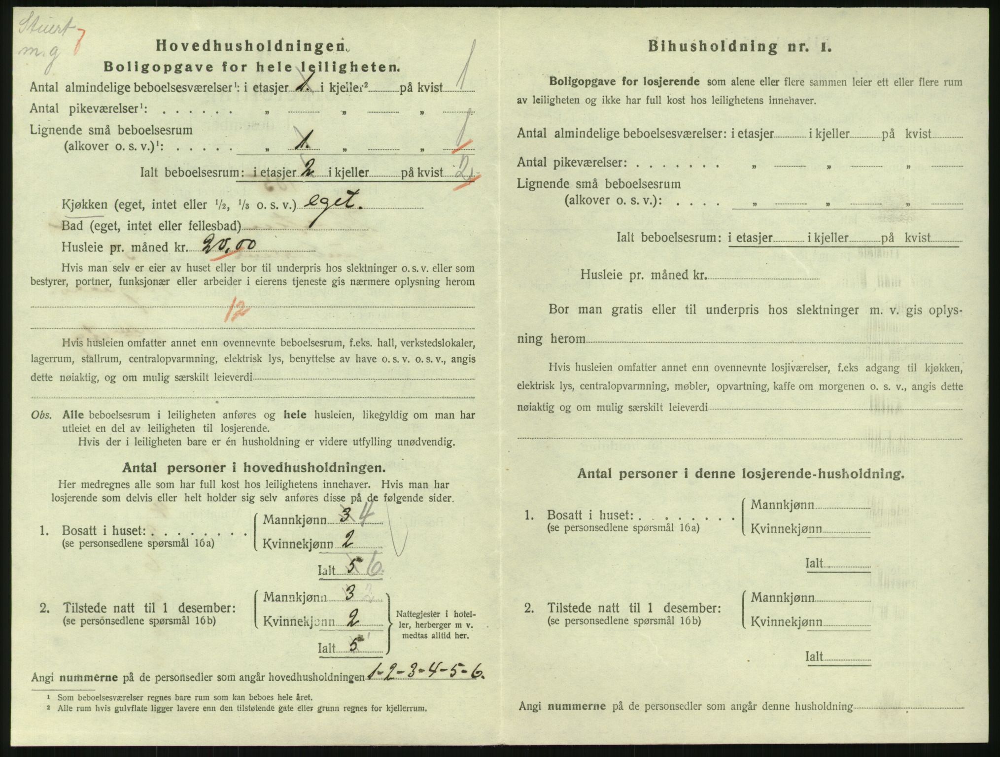 SAKO, Folketelling 1920 for 0703 Horten kjøpstad, 1920, s. 3730