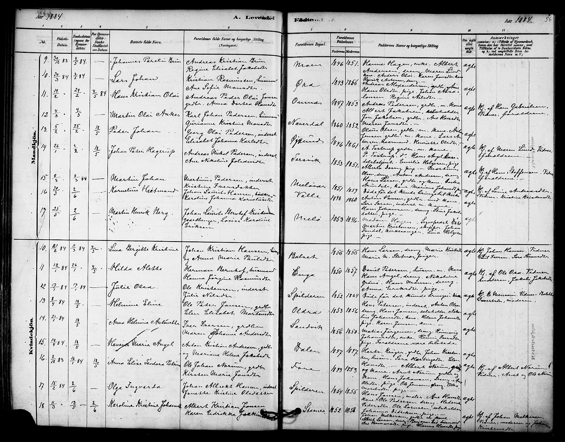 Ministerialprotokoller, klokkerbøker og fødselsregistre - Nordland, AV/SAT-A-1459/843/L0626: Ministerialbok nr. 843A01, 1878-1907, s. 56