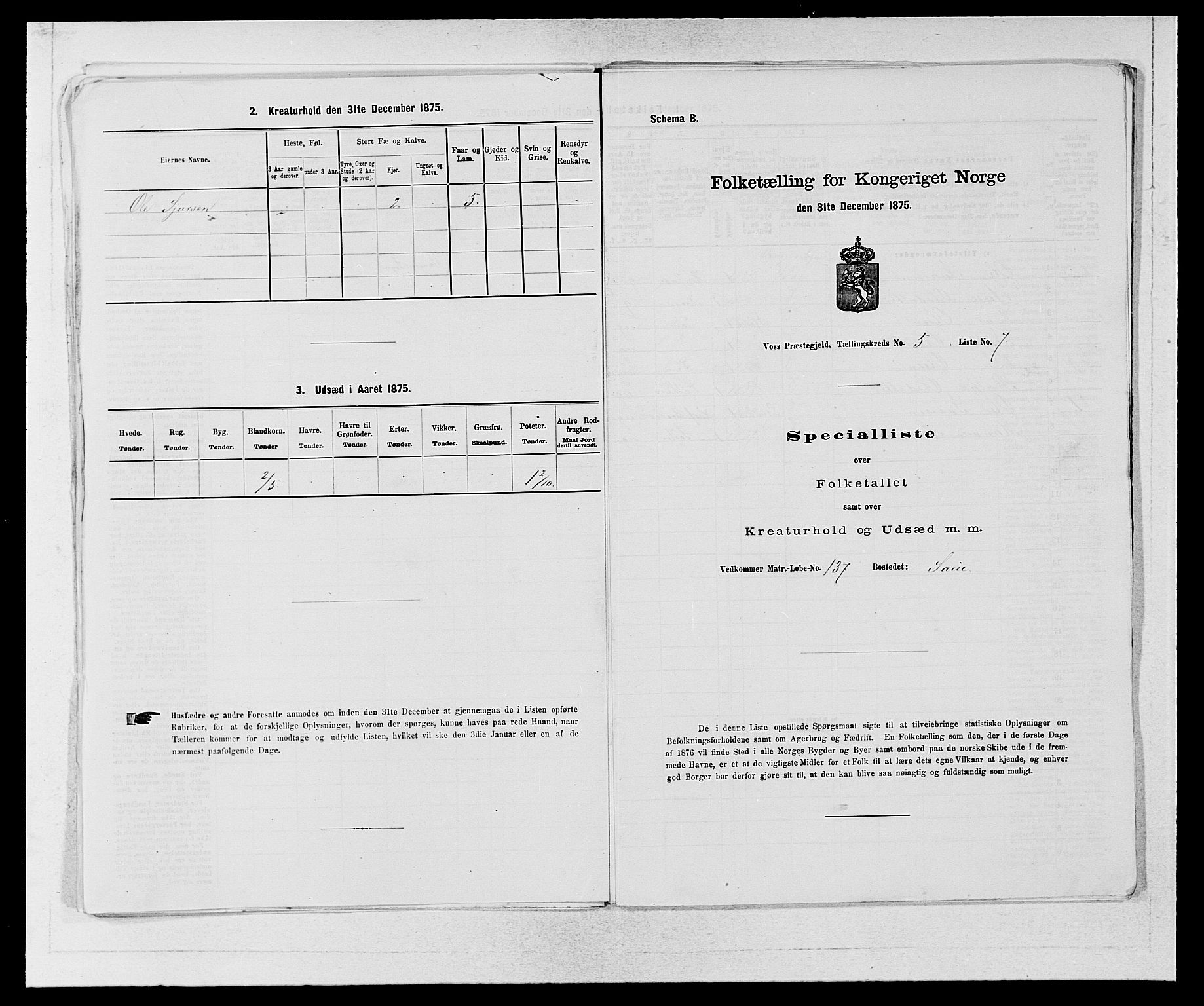 SAB, Folketelling 1875 for 1235P Voss prestegjeld, 1875, s. 593