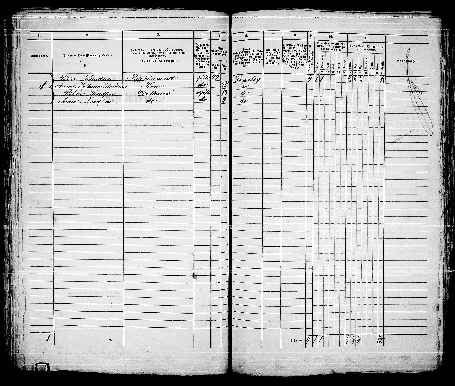 RA, Folketelling 1865 for 0604B Kongsberg prestegjeld, Kongsberg kjøpstad, 1865, s. 1131