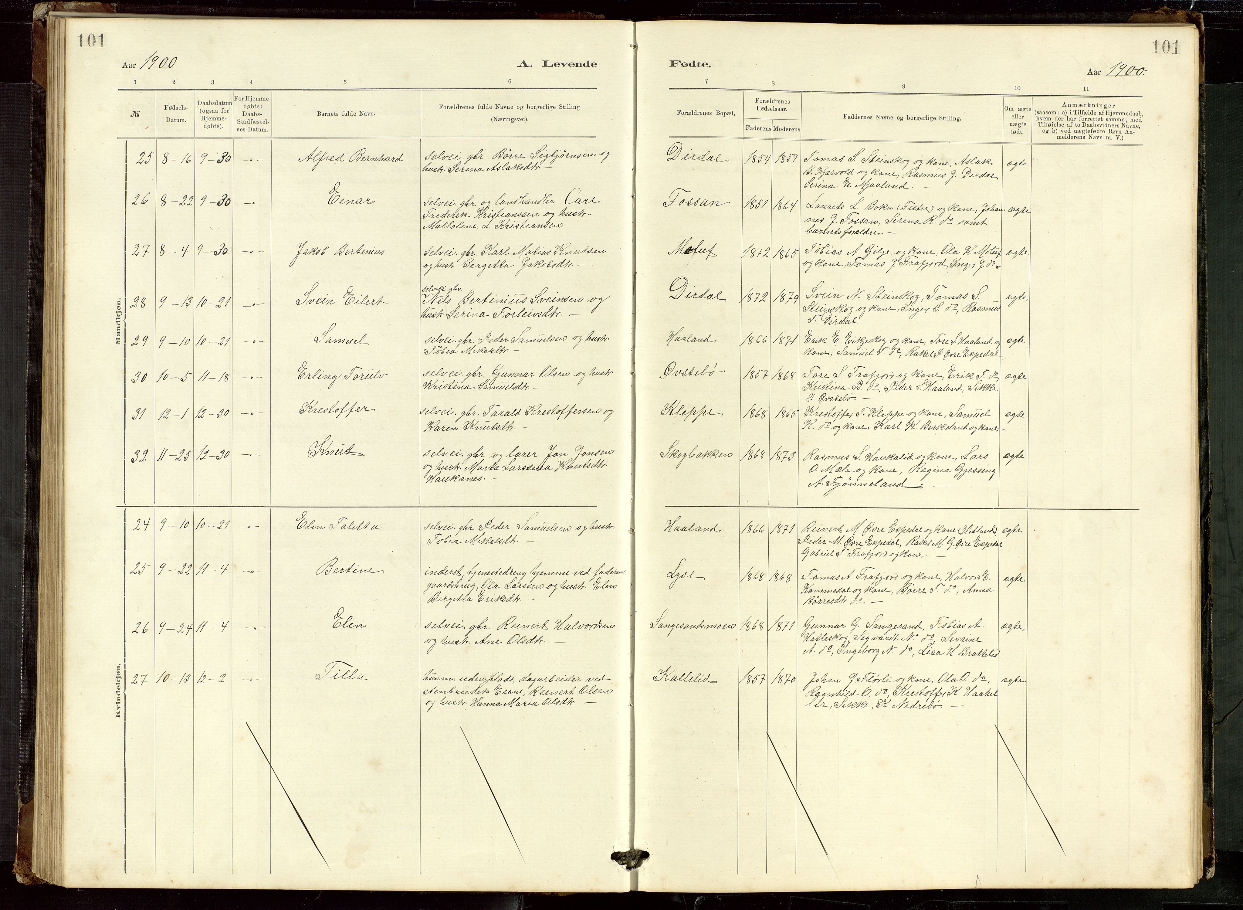 Høgsfjord sokneprestkontor, SAST/A-101624/H/Ha/Hab/L0009: Klokkerbok nr. B 9, 1883-1920, s. 101