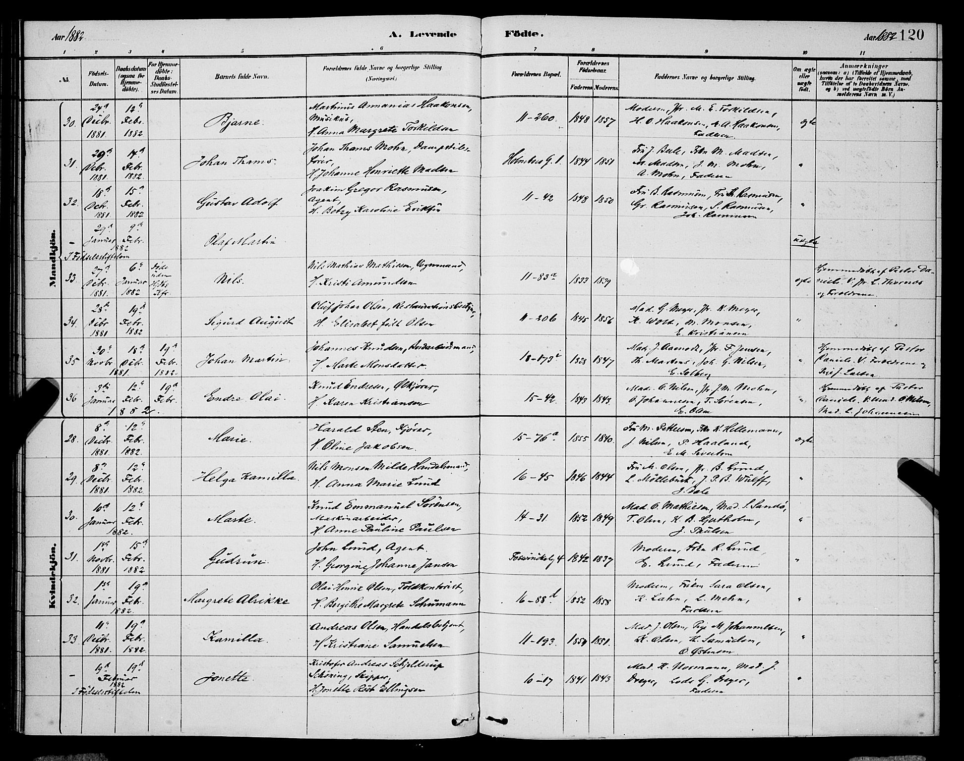 Domkirken sokneprestembete, AV/SAB-A-74801/H/Hab/L0015: Klokkerbok nr. B 8, 1879-1887, s. 120