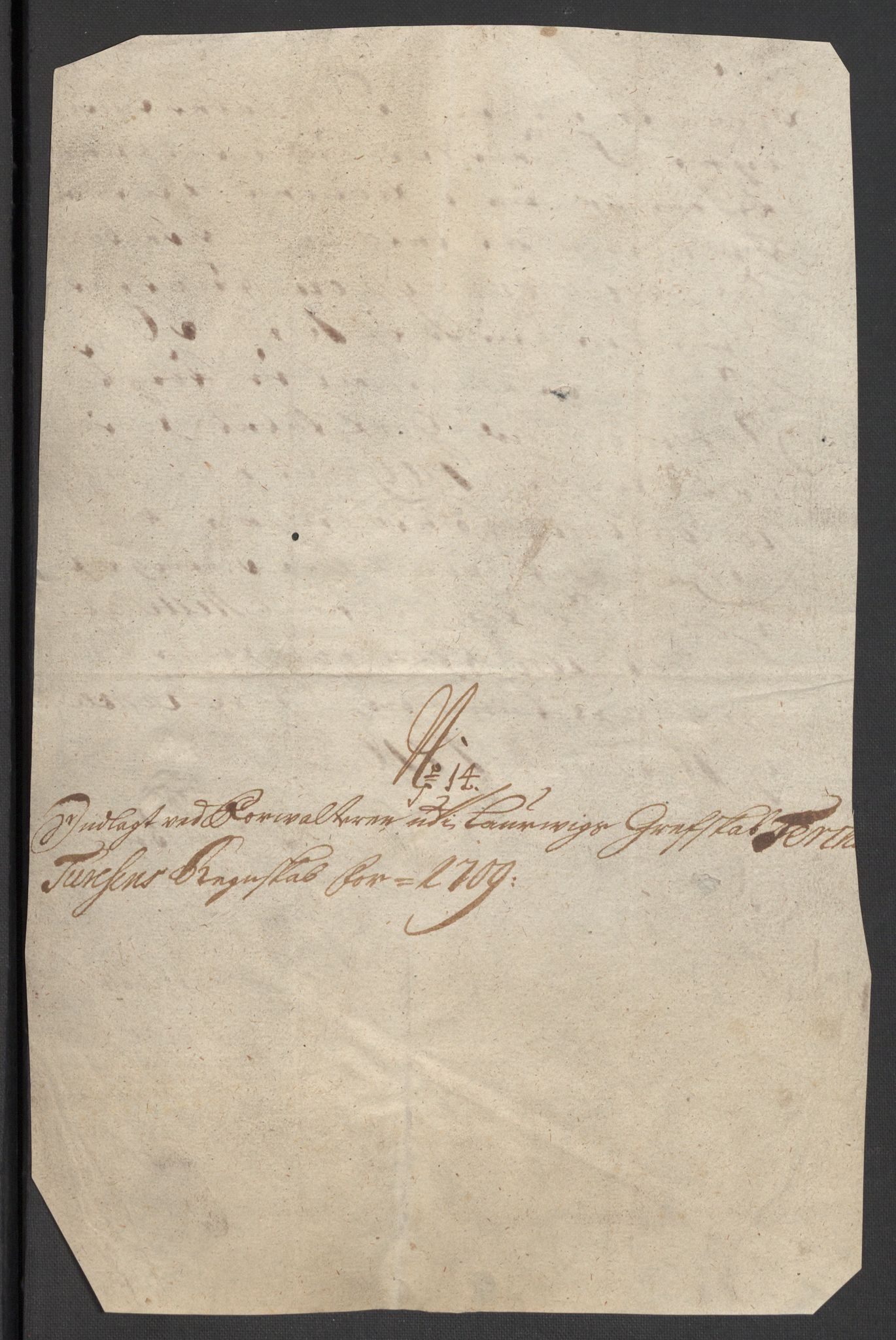 Rentekammeret inntil 1814, Reviderte regnskaper, Fogderegnskap, RA/EA-4092/R33/L1981: Fogderegnskap Larvik grevskap, 1709-1710, s. 202