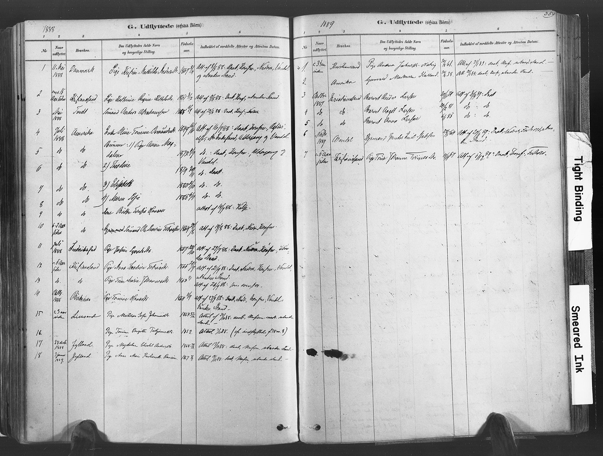 Høvåg sokneprestkontor, AV/SAK-1111-0025/F/Fa/L0005: Ministerialbok nr. A 5, 1878-1893, s. 359