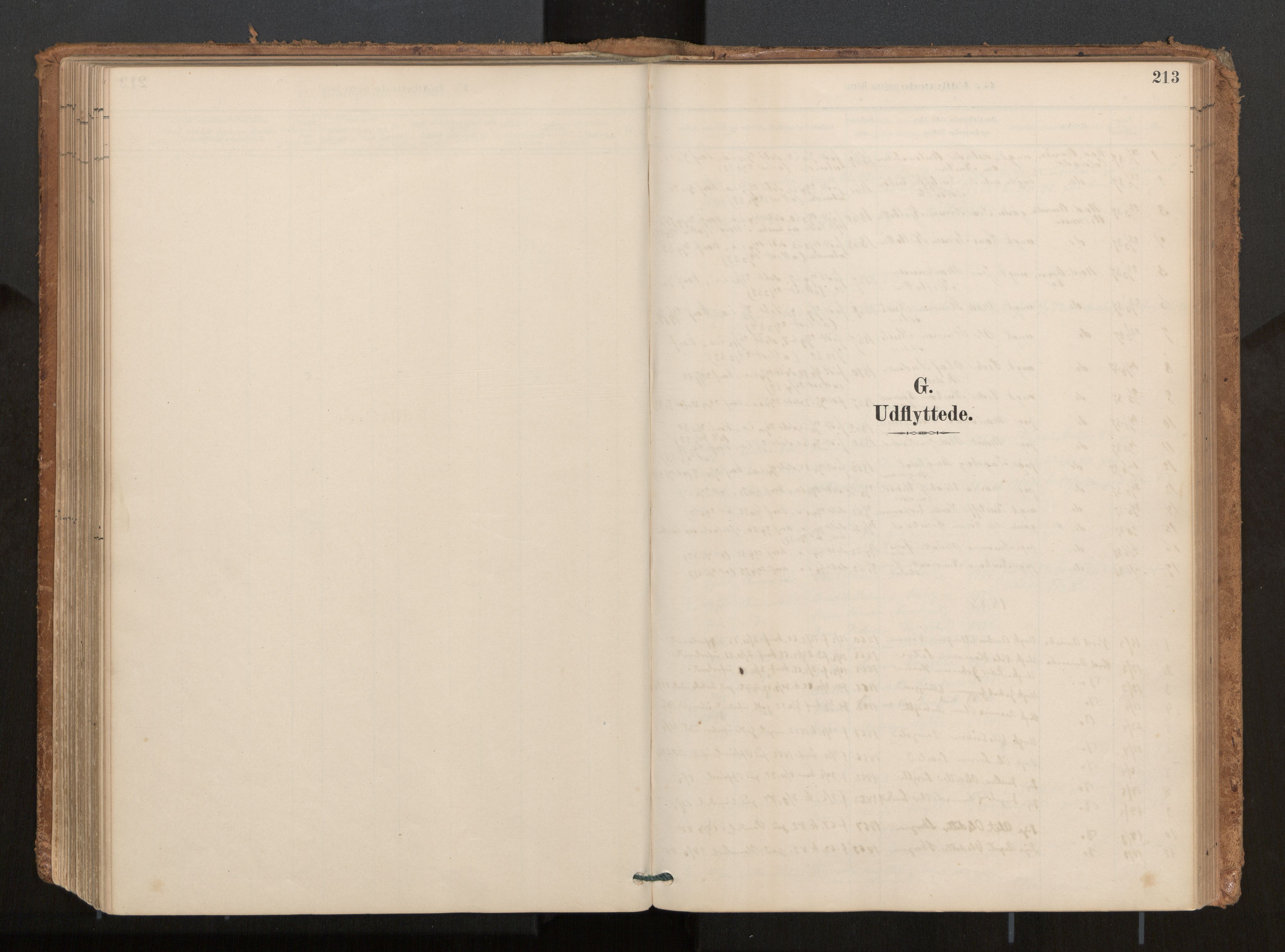 Ministerialprotokoller, klokkerbøker og fødselsregistre - Møre og Romsdal, AV/SAT-A-1454/541/L0545a: Ministerialbok nr. 541A03, 1887-1912, s. 213