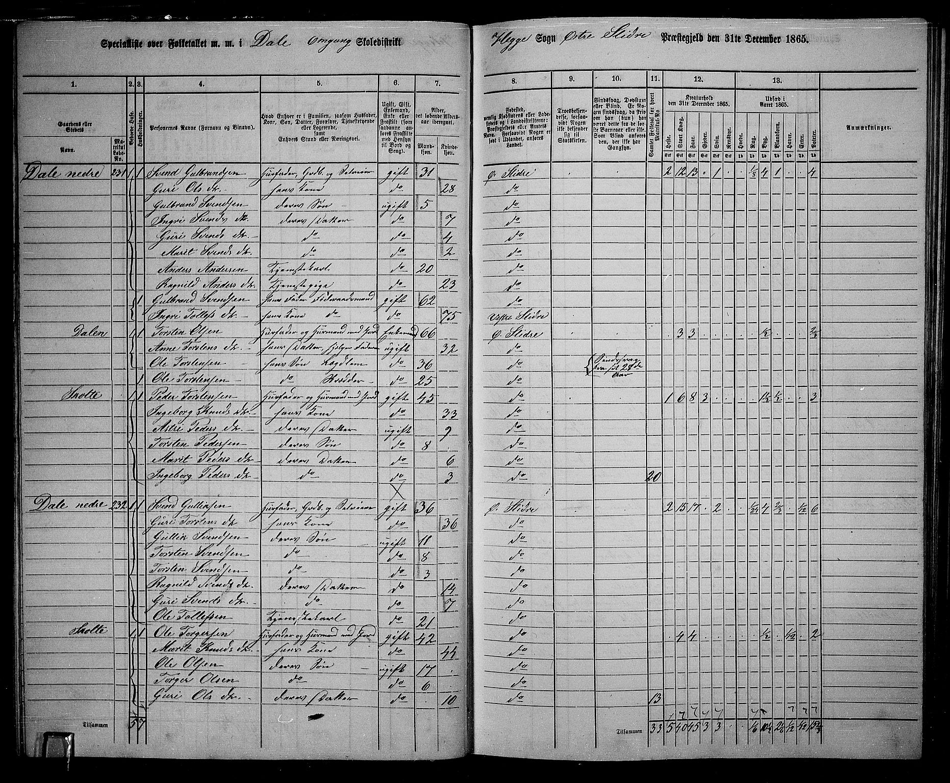 RA, Folketelling 1865 for 0544P Øystre Slidre prestegjeld, 1865, s. 41