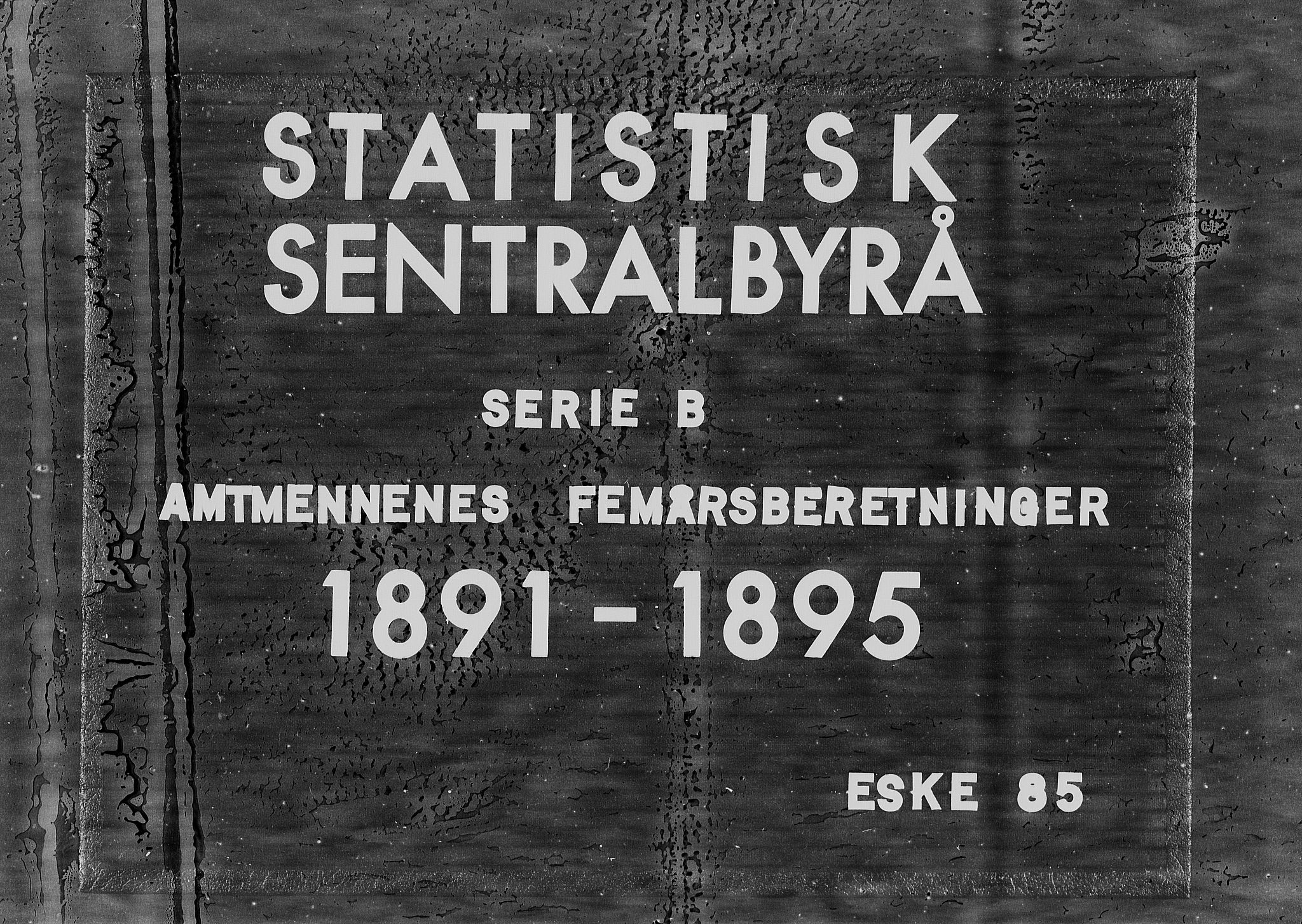 Statistisk sentralbyrå, Næringsøkonomiske emner, Generelt - Amtmennenes femårsberetninger, RA/S-2233/F/Fa/L0085: --, 1895, s. 1