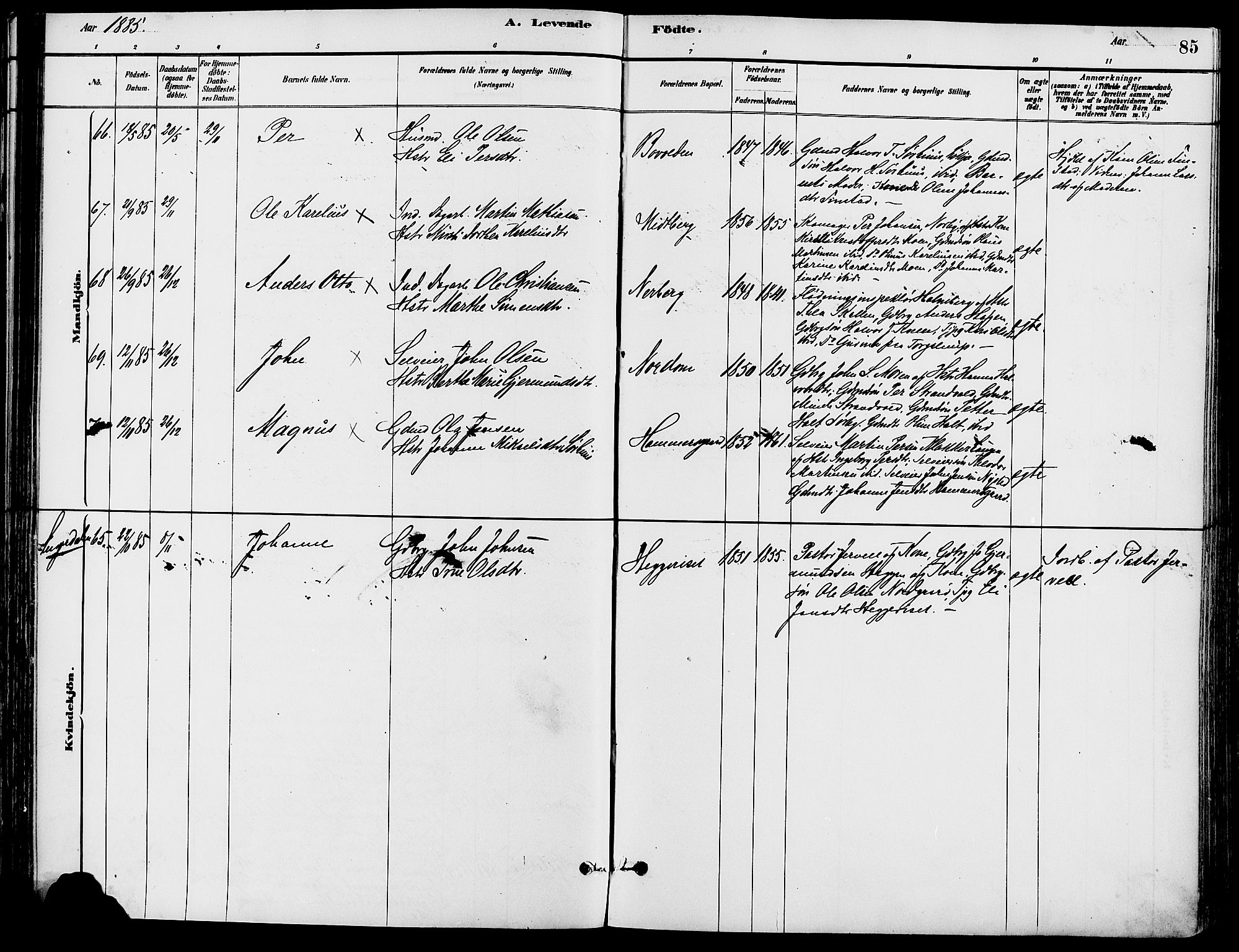 Trysil prestekontor, AV/SAH-PREST-046/H/Ha/Haa/L0008: Ministerialbok nr. 8, 1881-1897, s. 85