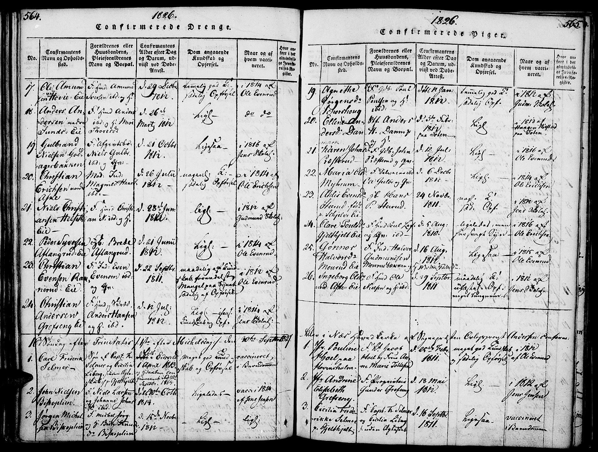 Nes prestekontor, Hedmark, AV/SAH-PREST-020/K/Ka/L0002: Ministerialbok nr. 2, 1813-1827, s. 564-565