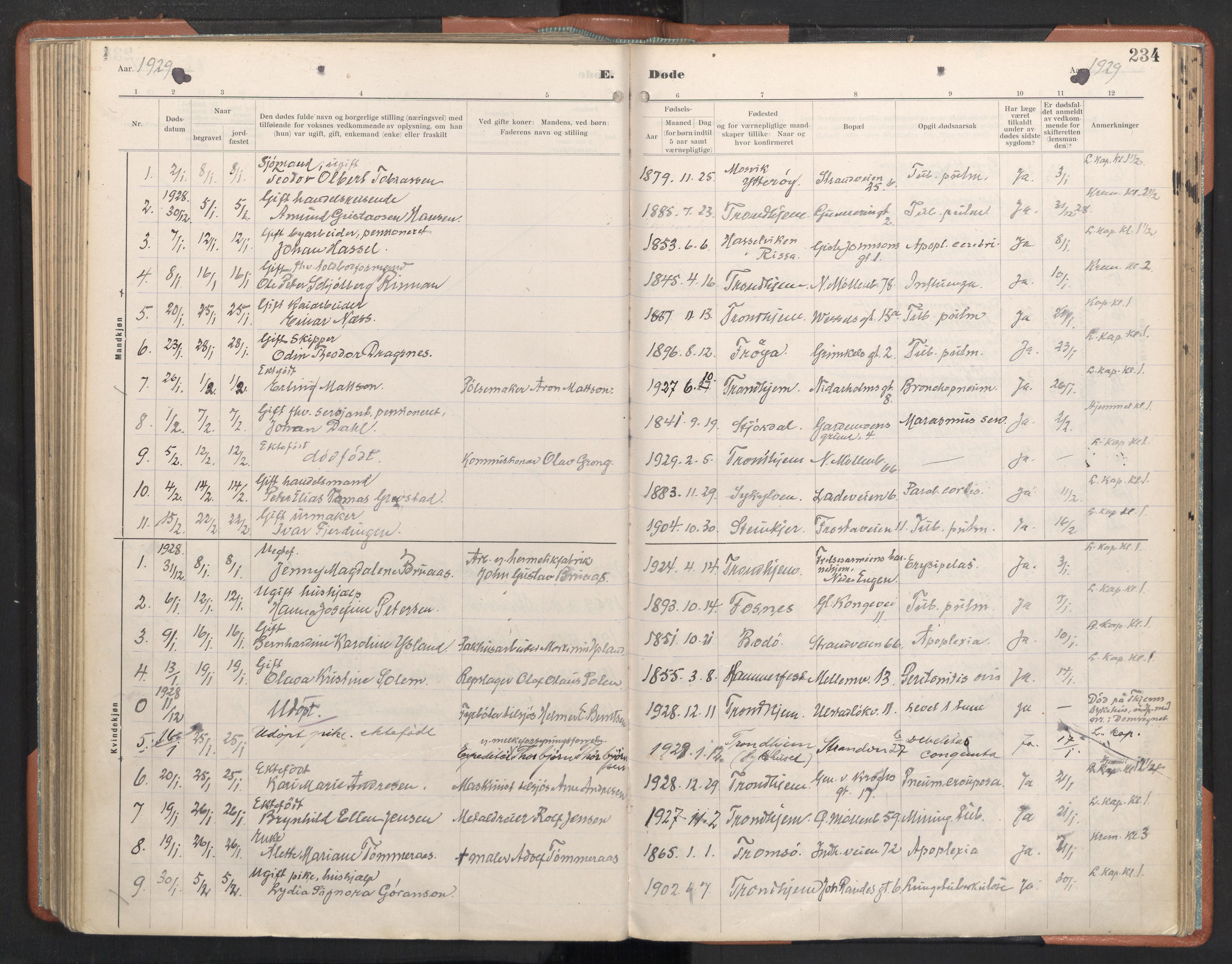 Ministerialprotokoller, klokkerbøker og fødselsregistre - Sør-Trøndelag, AV/SAT-A-1456/605/L0245: Ministerialbok nr. 605A07, 1916-1938, s. 234