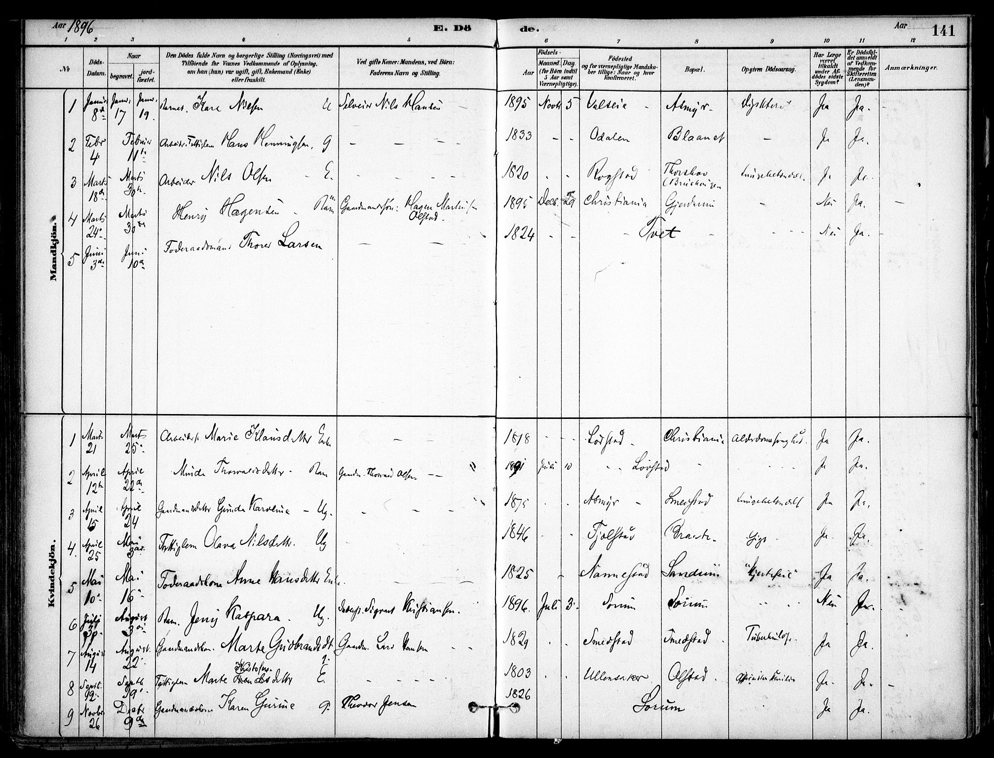Gjerdrum prestekontor Kirkebøker, AV/SAO-A-10412b/F/Fa/L0009: Ministerialbok nr. I 9, 1881-1916, s. 141