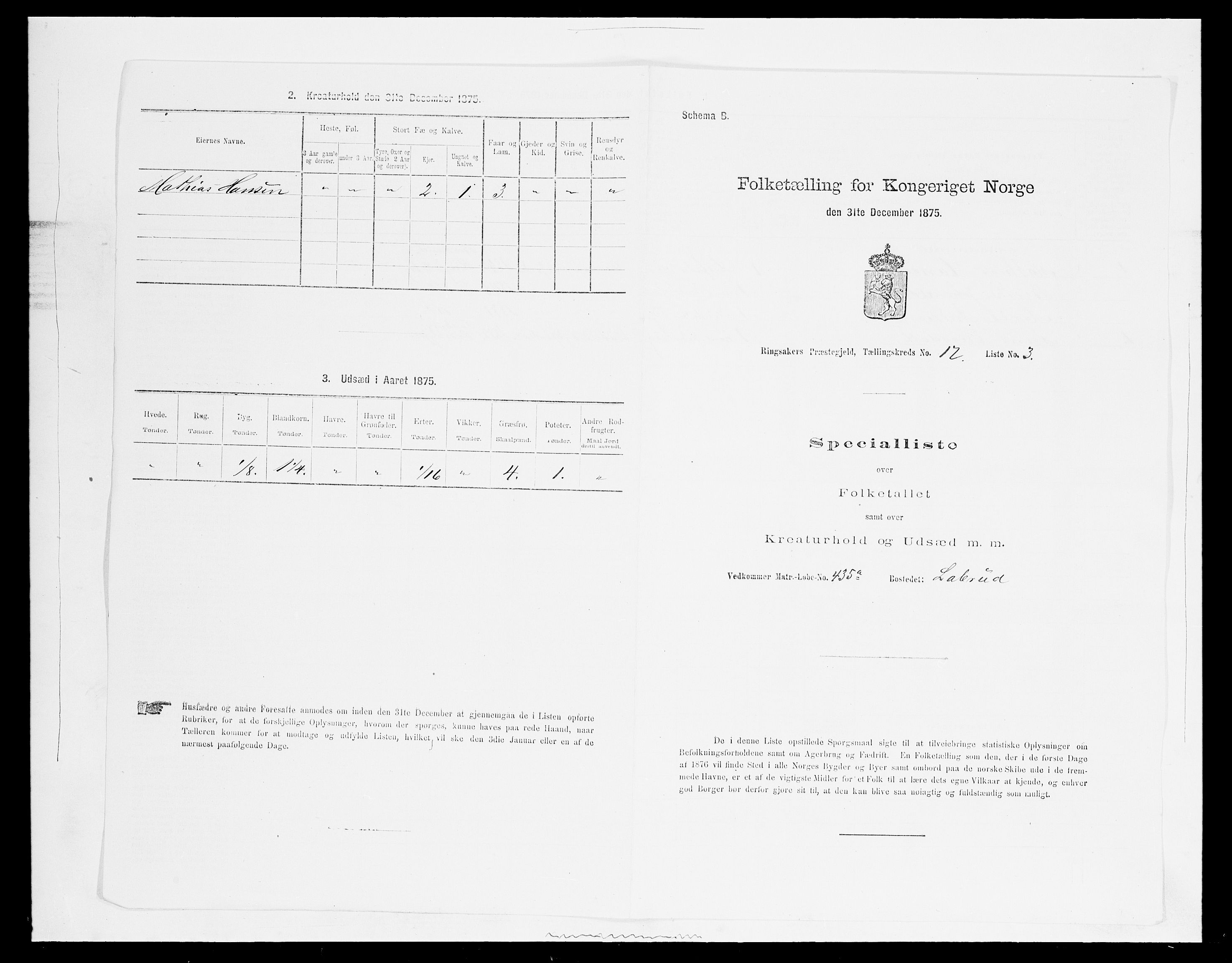 SAH, Folketelling 1875 for 0412P Ringsaker prestegjeld, 1875, s. 3395