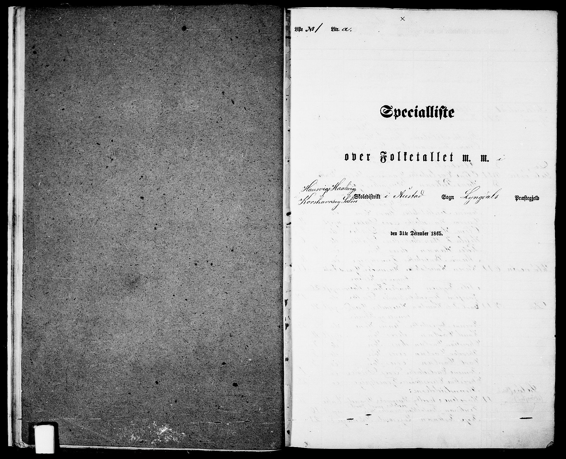 RA, Folketelling 1865 for 1032P Lyngdal prestegjeld, 1865, s. 19