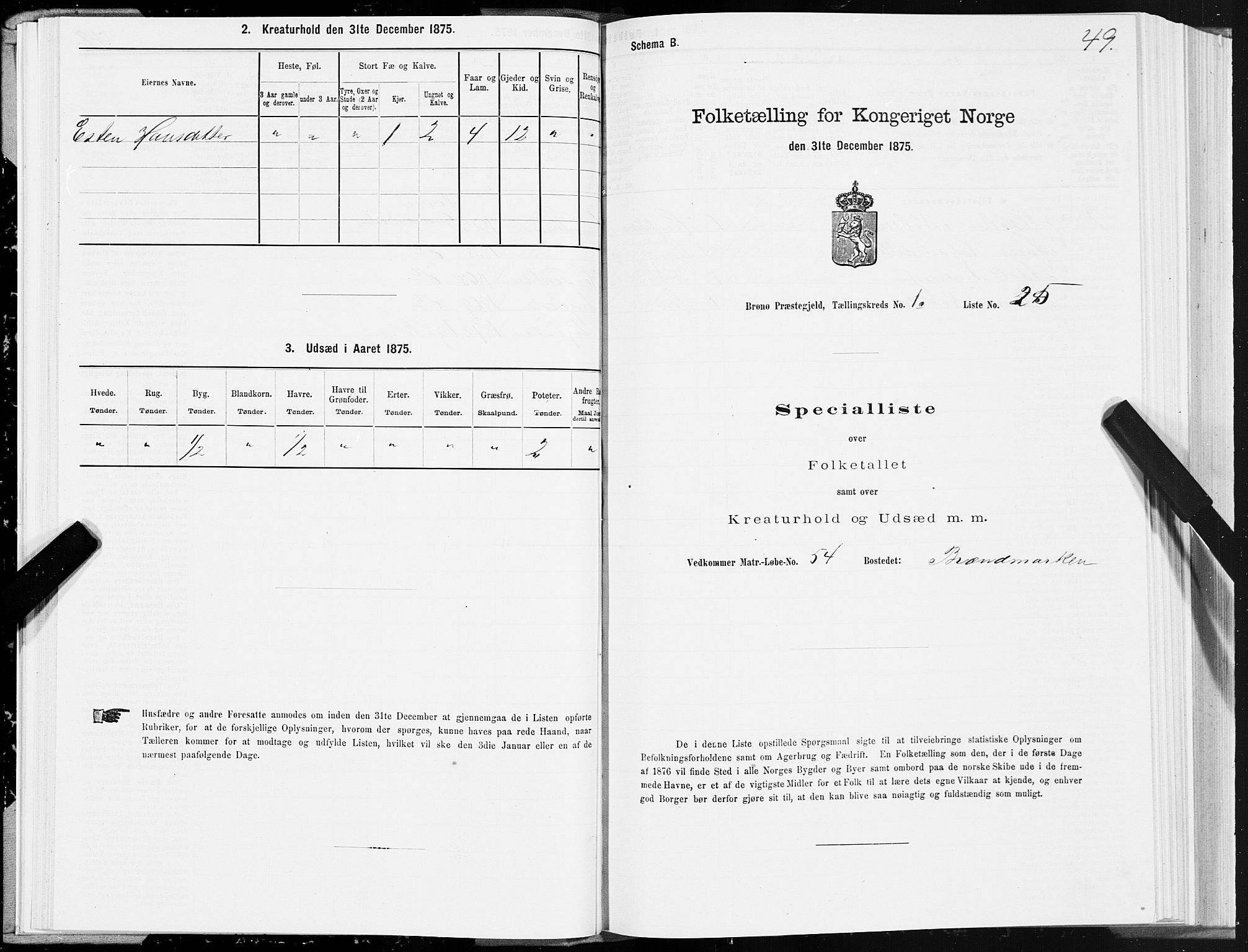 SAT, Folketelling 1875 for 1814P Brønnøy prestegjeld, 1875, s. 1049