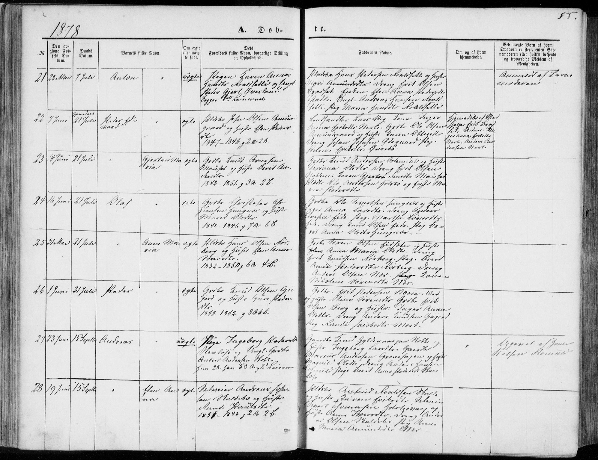 Ministerialprotokoller, klokkerbøker og fødselsregistre - Møre og Romsdal, AV/SAT-A-1454/557/L0681: Ministerialbok nr. 557A03, 1869-1886, s. 55