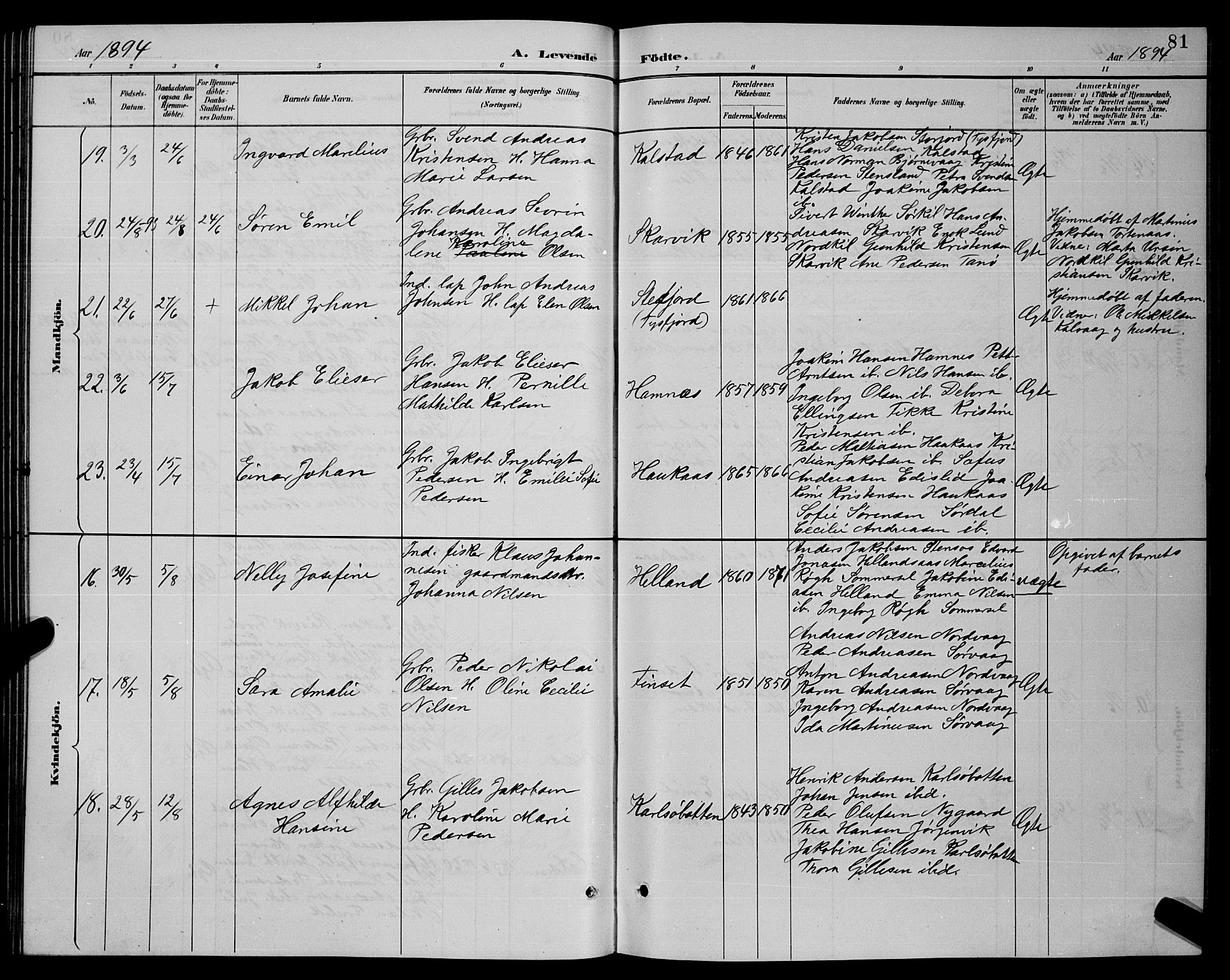 Ministerialprotokoller, klokkerbøker og fødselsregistre - Nordland, AV/SAT-A-1459/859/L0859: Klokkerbok nr. 859C05, 1887-1898, s. 81