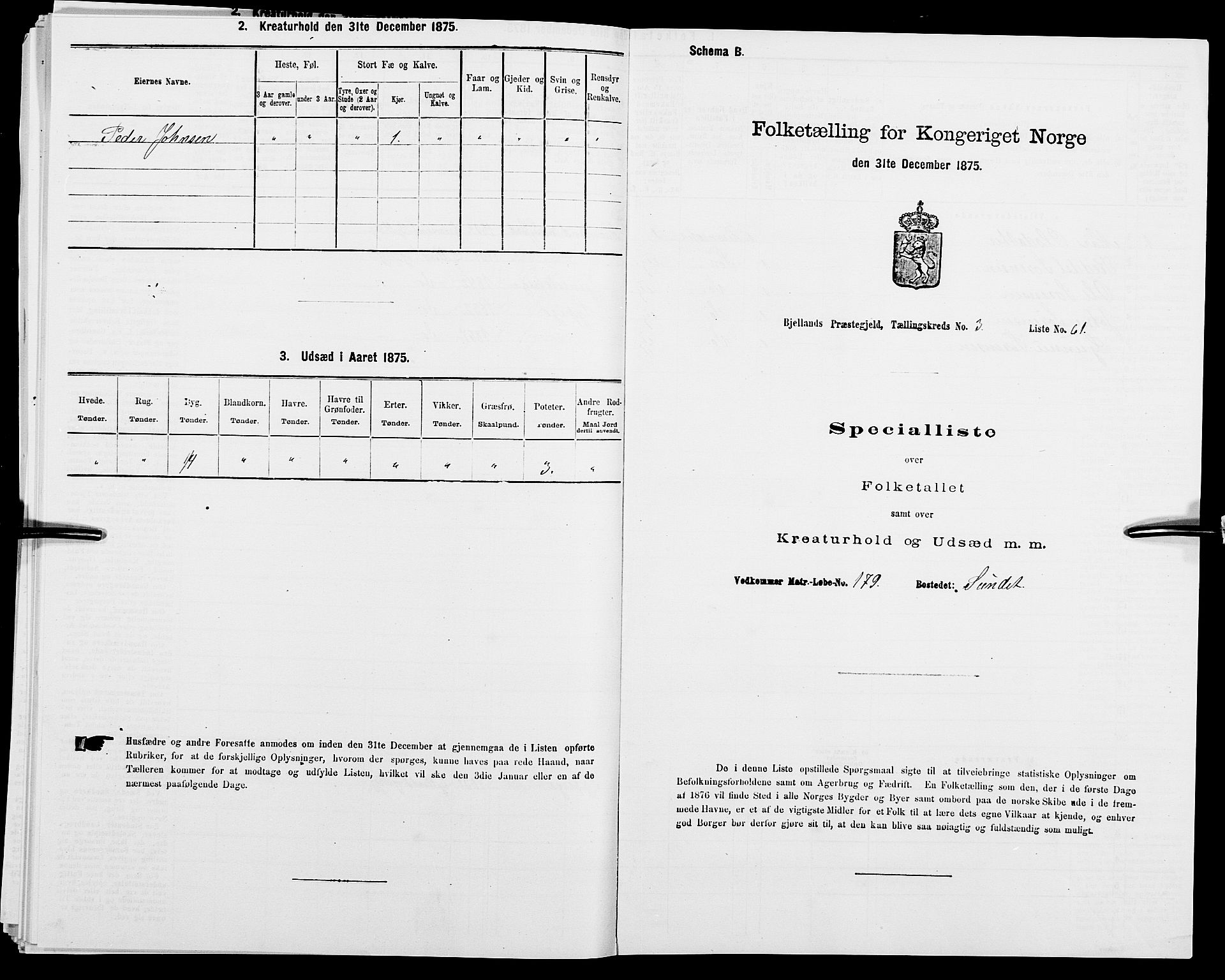 SAK, Folketelling 1875 for 1024P Bjelland prestegjeld, 1875, s. 387