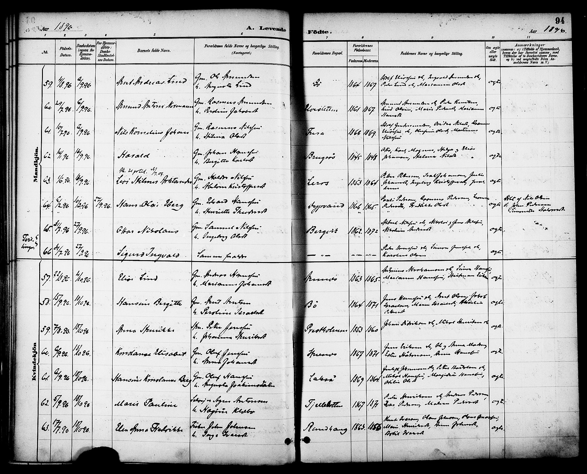 Ministerialprotokoller, klokkerbøker og fødselsregistre - Nordland, AV/SAT-A-1459/863/L0898: Ministerialbok nr. 863A10, 1886-1897, s. 94