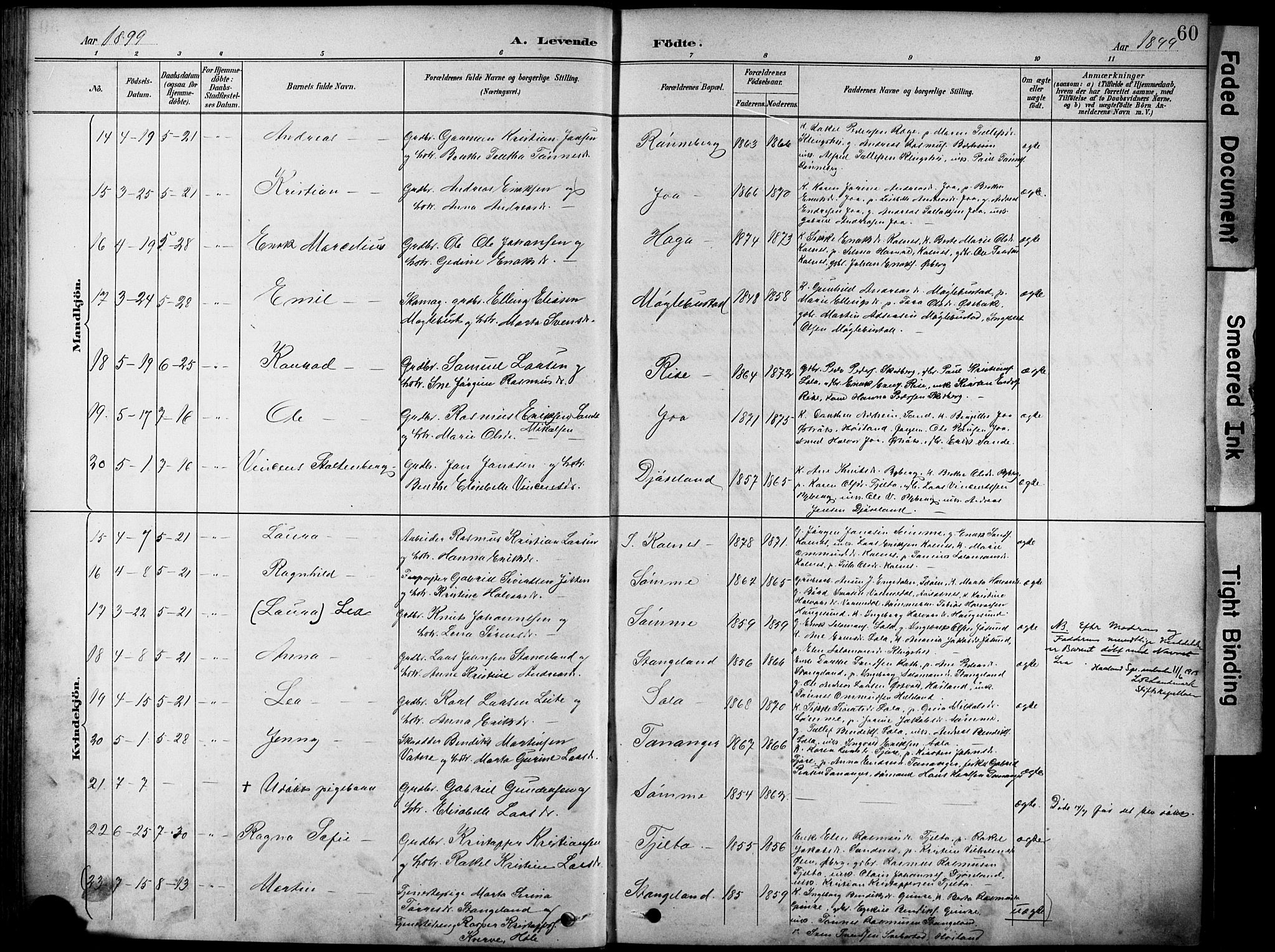 Håland sokneprestkontor, AV/SAST-A-101802/001/30BA/L0012: Ministerialbok nr. A 11, 1889-1900, s. 60