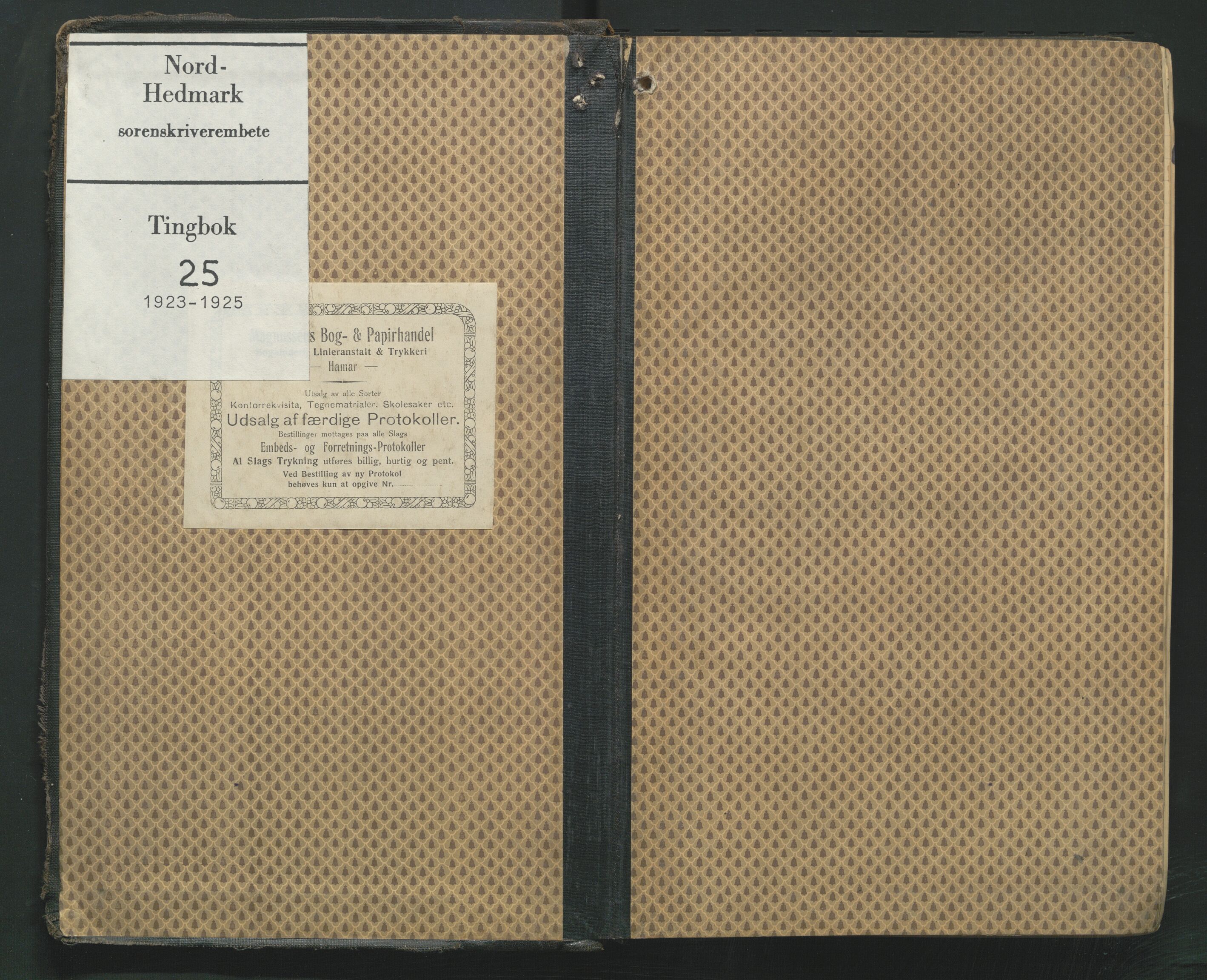 Nord-Hedmark sorenskriveri, AV/SAH-TING-012/G/Gb/L0025: Tingbok, 1923-1925