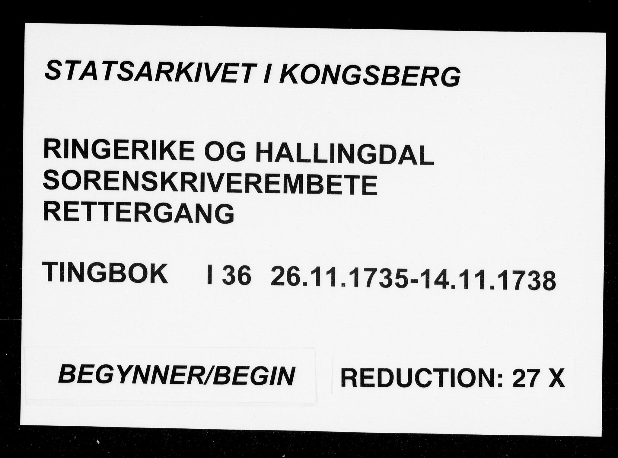 Ringerike og Hallingdal sorenskriveri, AV/SAKO-A-81/F/Fa/Faa/L0036: Tingbok, 1735-1738