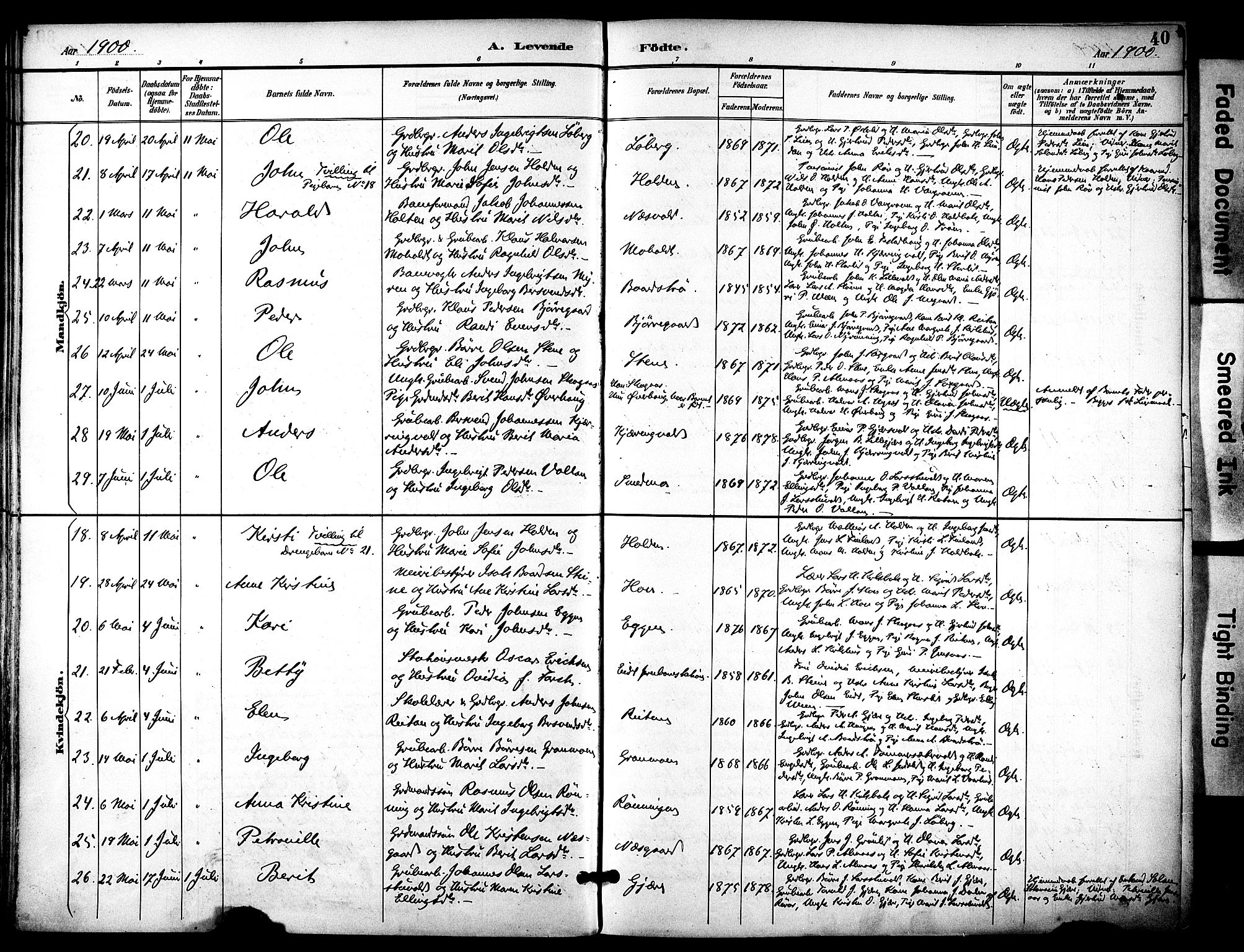 Ministerialprotokoller, klokkerbøker og fødselsregistre - Sør-Trøndelag, AV/SAT-A-1456/686/L0984: Ministerialbok nr. 686A02, 1891-1906, s. 40