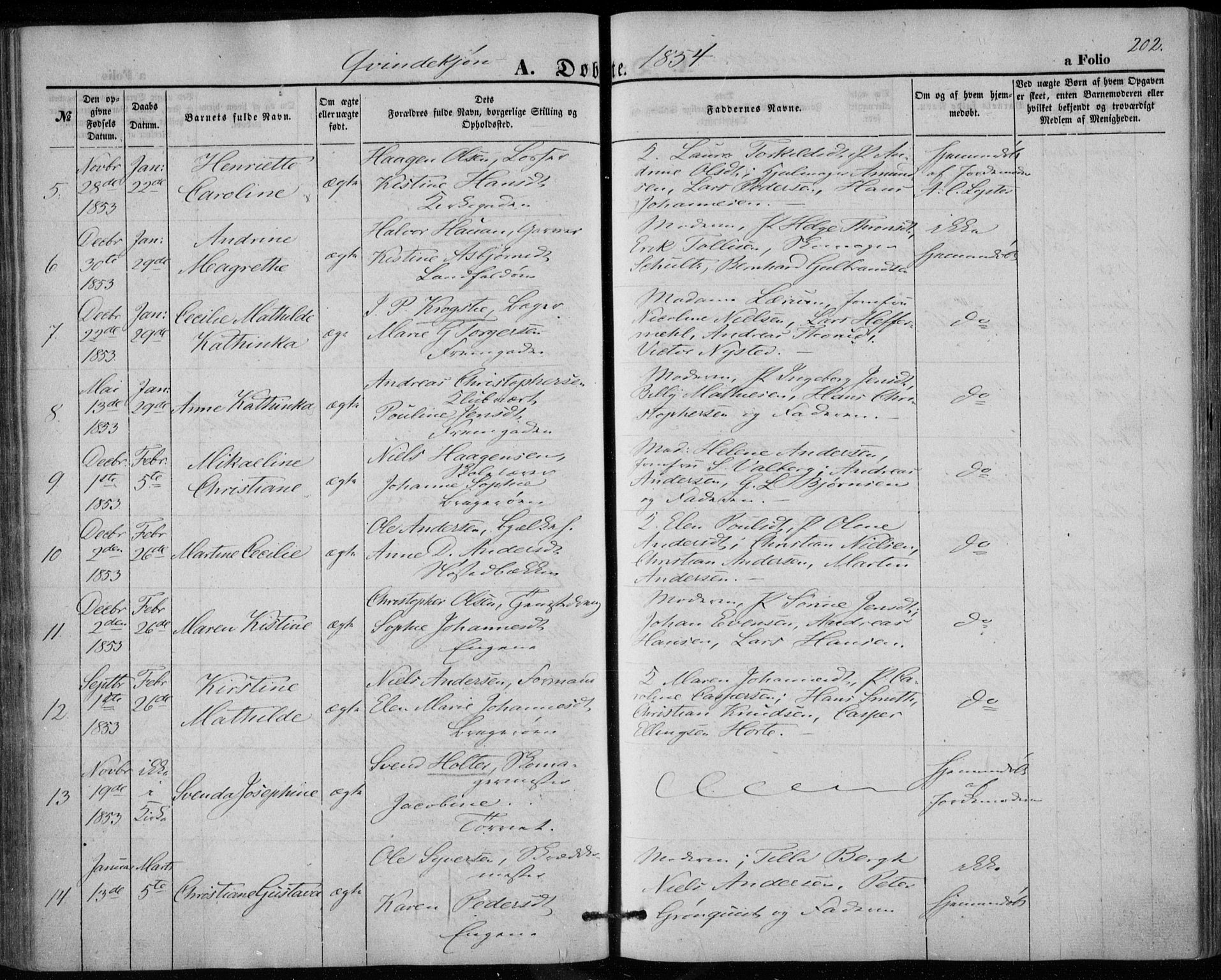Bragernes kirkebøker, AV/SAKO-A-6/F/Fb/L0002: Ministerialbok nr. II 2, 1848-1859, s. 202