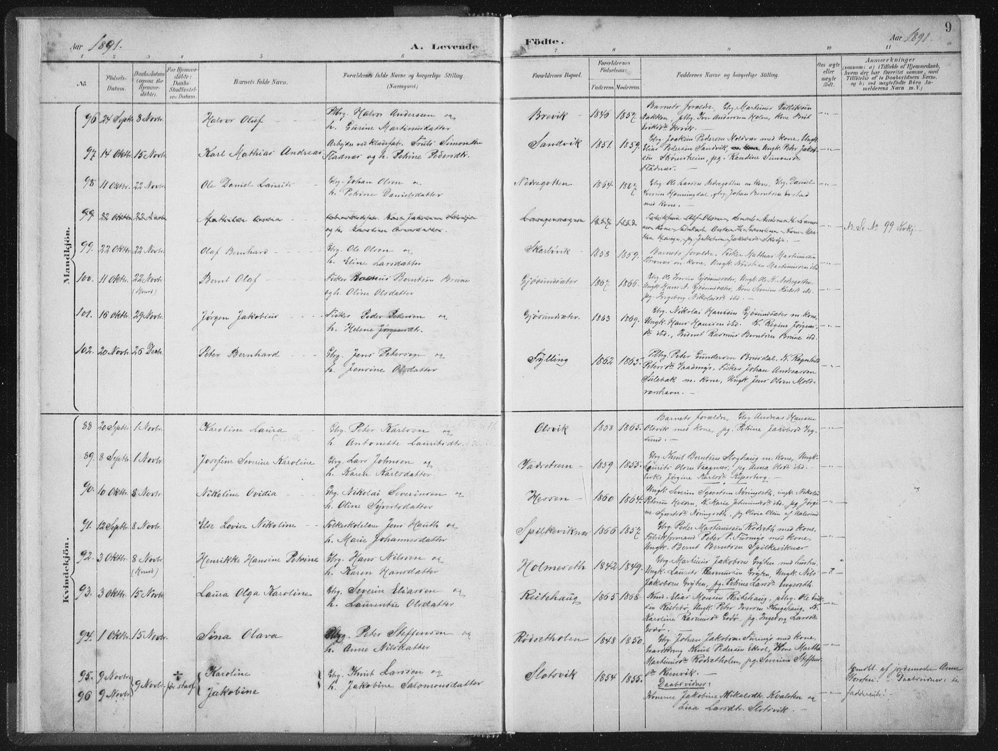 Ministerialprotokoller, klokkerbøker og fødselsregistre - Møre og Romsdal, AV/SAT-A-1454/528/L0405: Ministerialbok nr. 528A14, 1891-1906, s. 9