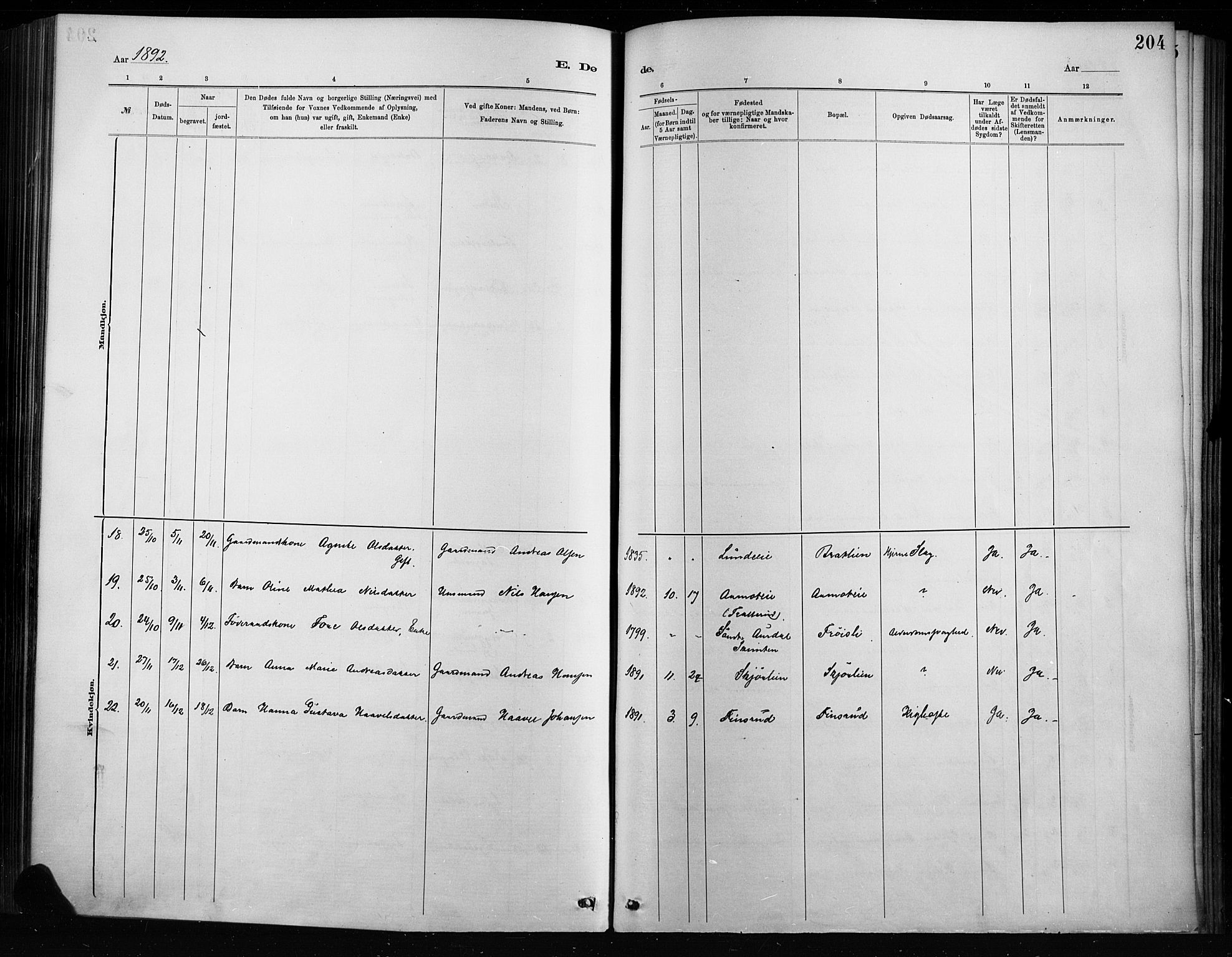 Nordre Land prestekontor, AV/SAH-PREST-124/H/Ha/Haa/L0004: Ministerialbok nr. 4, 1882-1896, s. 204