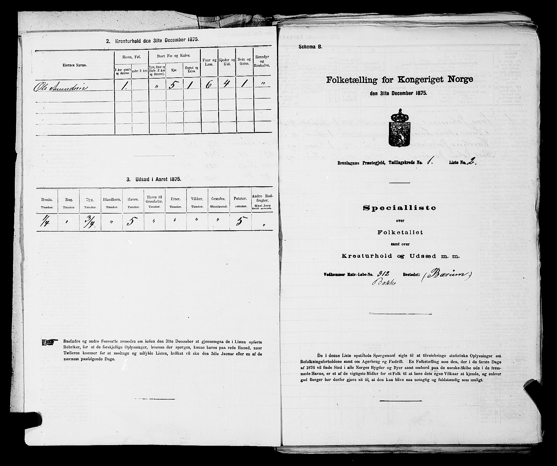 SAKO, Folketelling 1875 for 0726P Brunlanes prestegjeld, 1875, s. 65