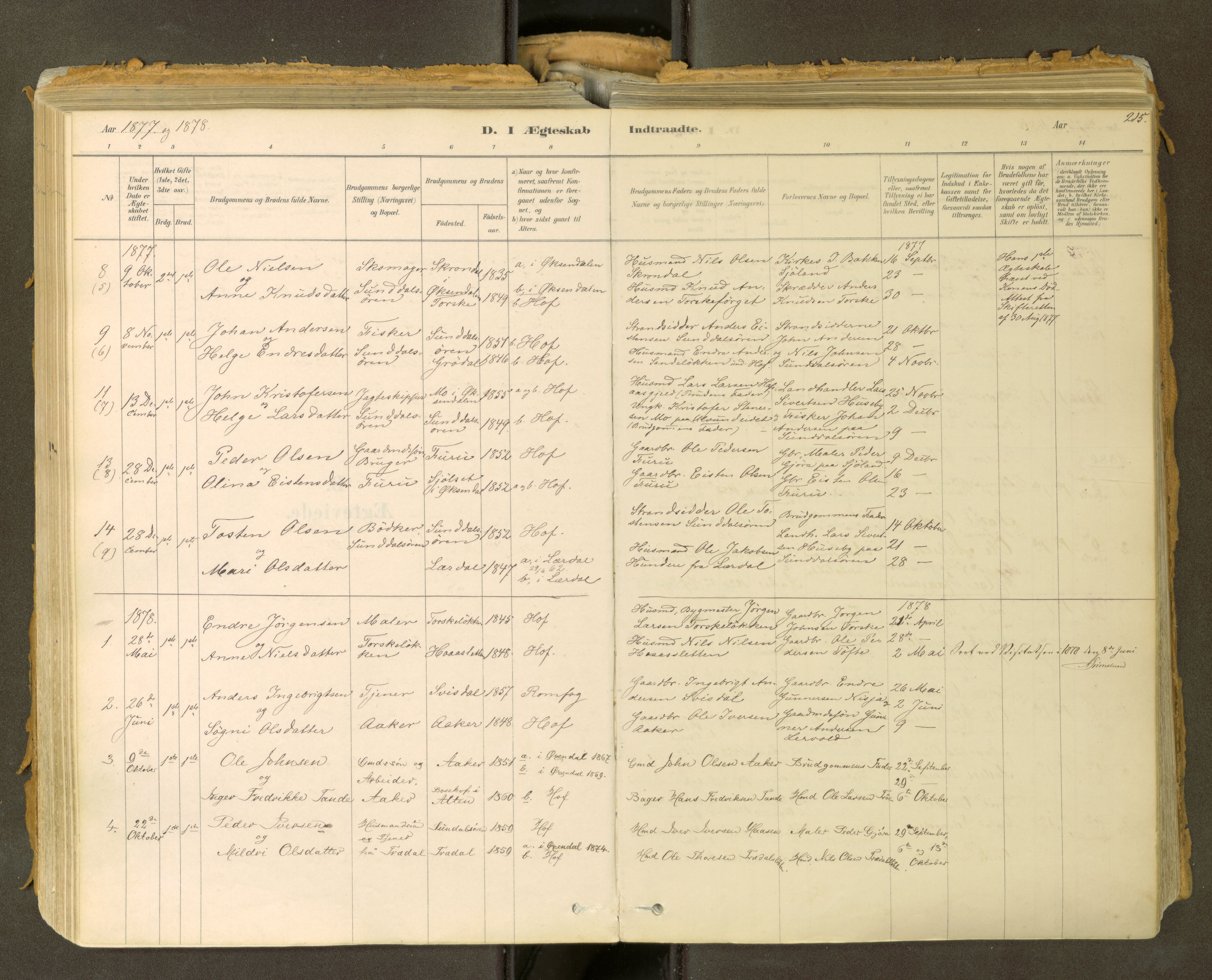 Sunndal sokneprestkontor, SAT/A-1085/1/I/I1/I1a: Ministerialbok nr. 2, 1877-1914, s. 215